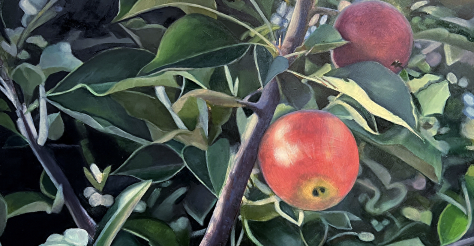 Close-up of a branch with two red apples and green leaves.