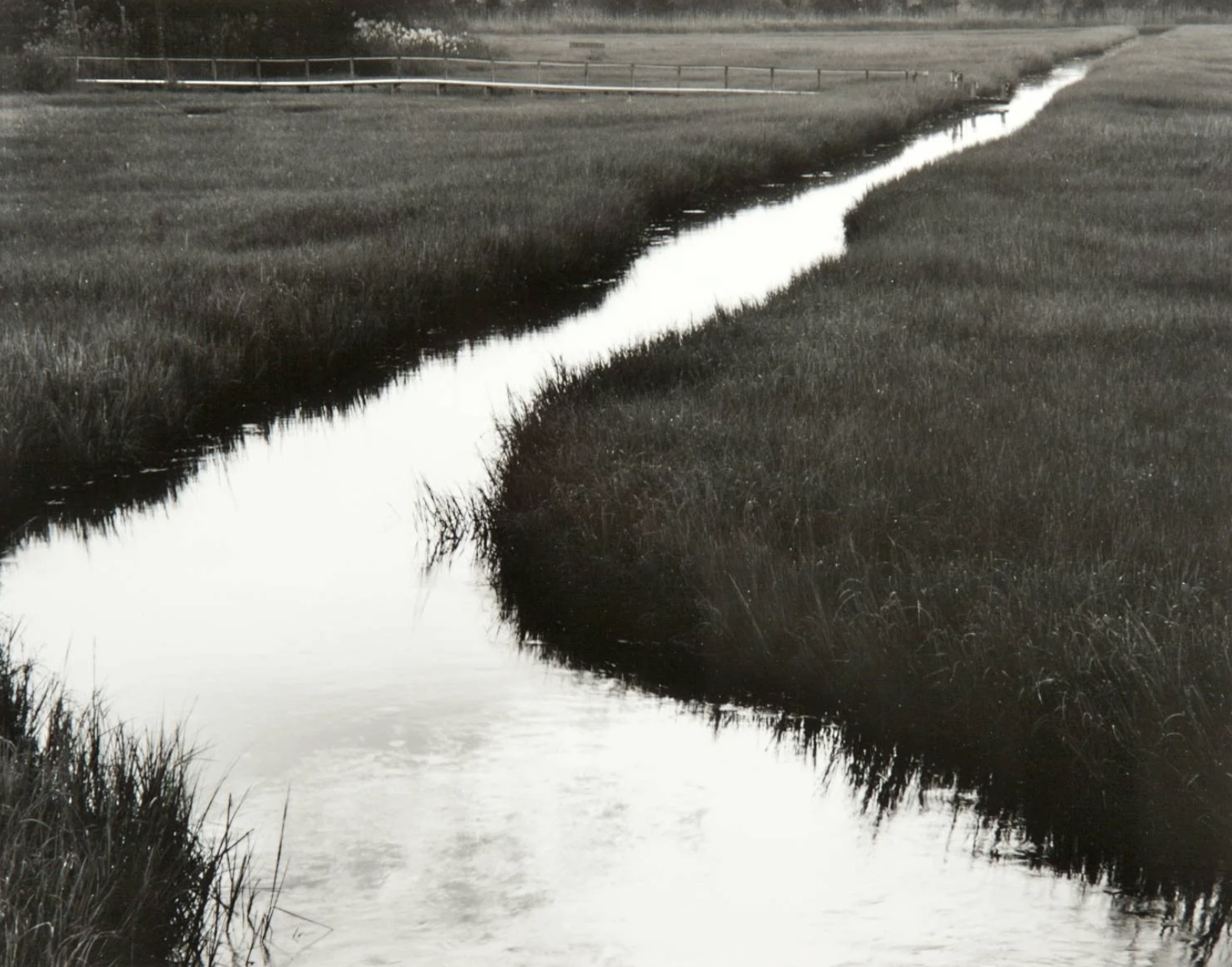 Wetland Stream" by Bruce Zandar