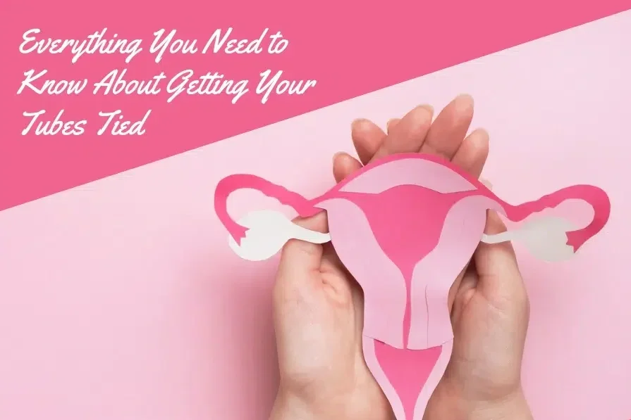 Image of person holding paper cutout model of female reproductive organs