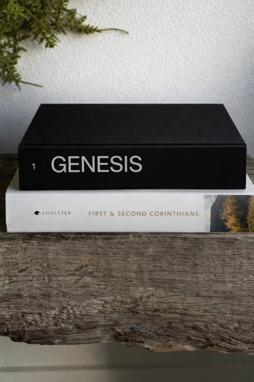 Your Metabolism Isn’t Broken - Your Signals Are