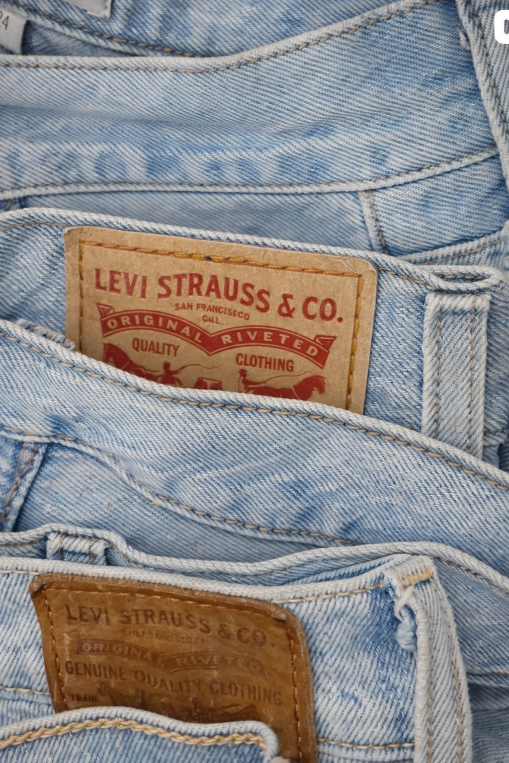 The Beginner’s 2026 Blueprint