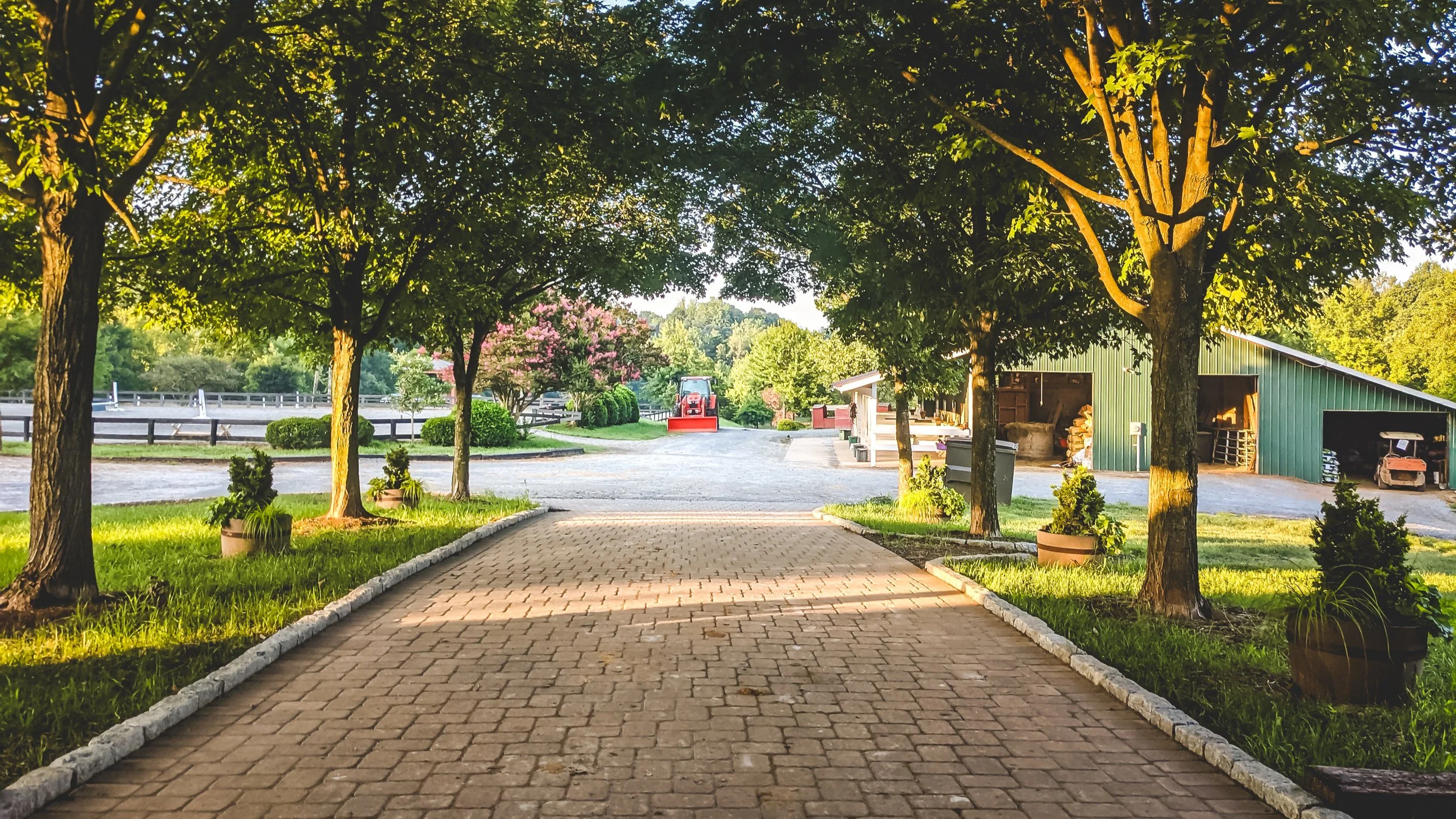 Kingston-Cedar-Hill-final-project-wide-paver-walkway-sunlight-green-grass-leaves