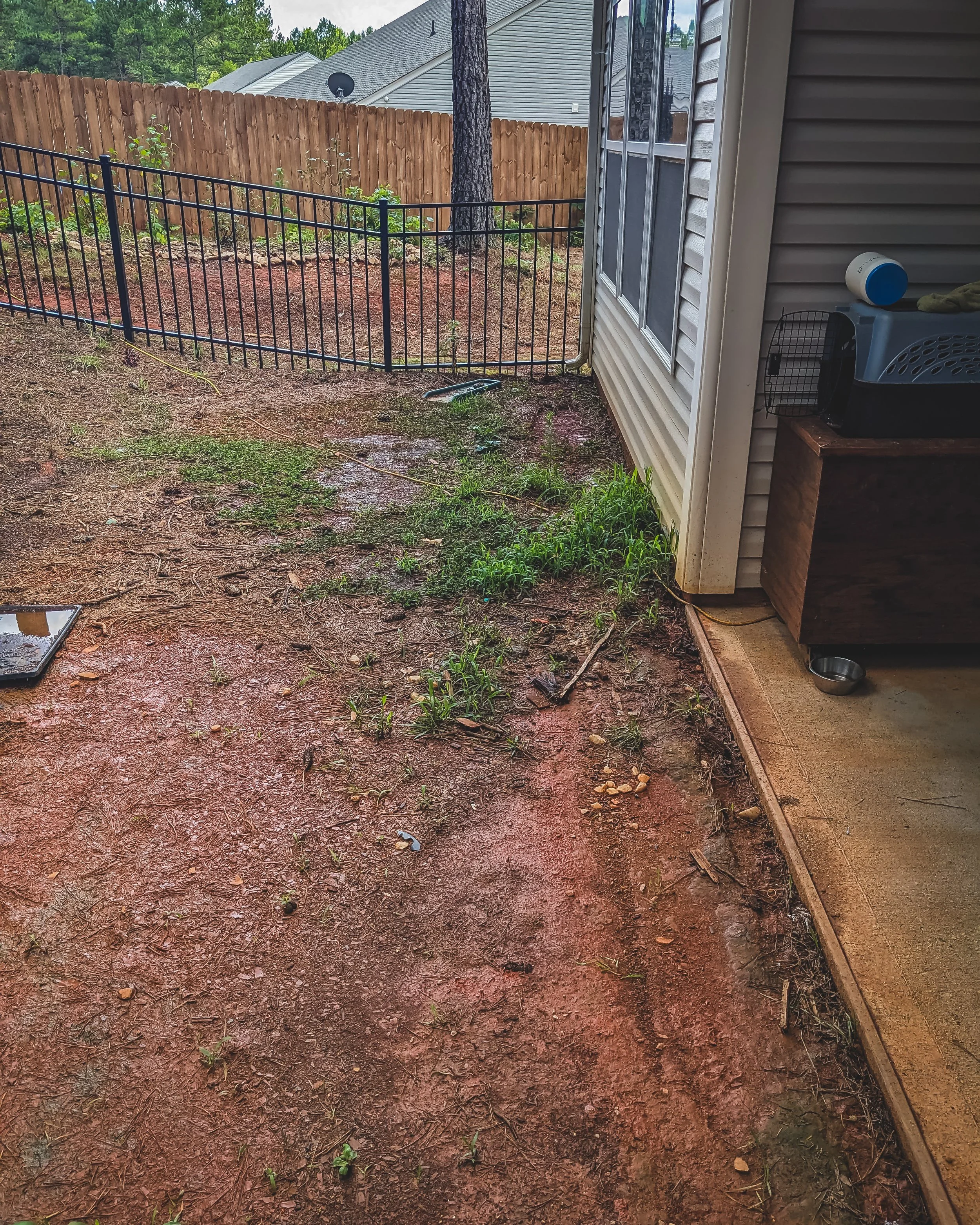 Buck Horn Backyard exports-2.JPG
