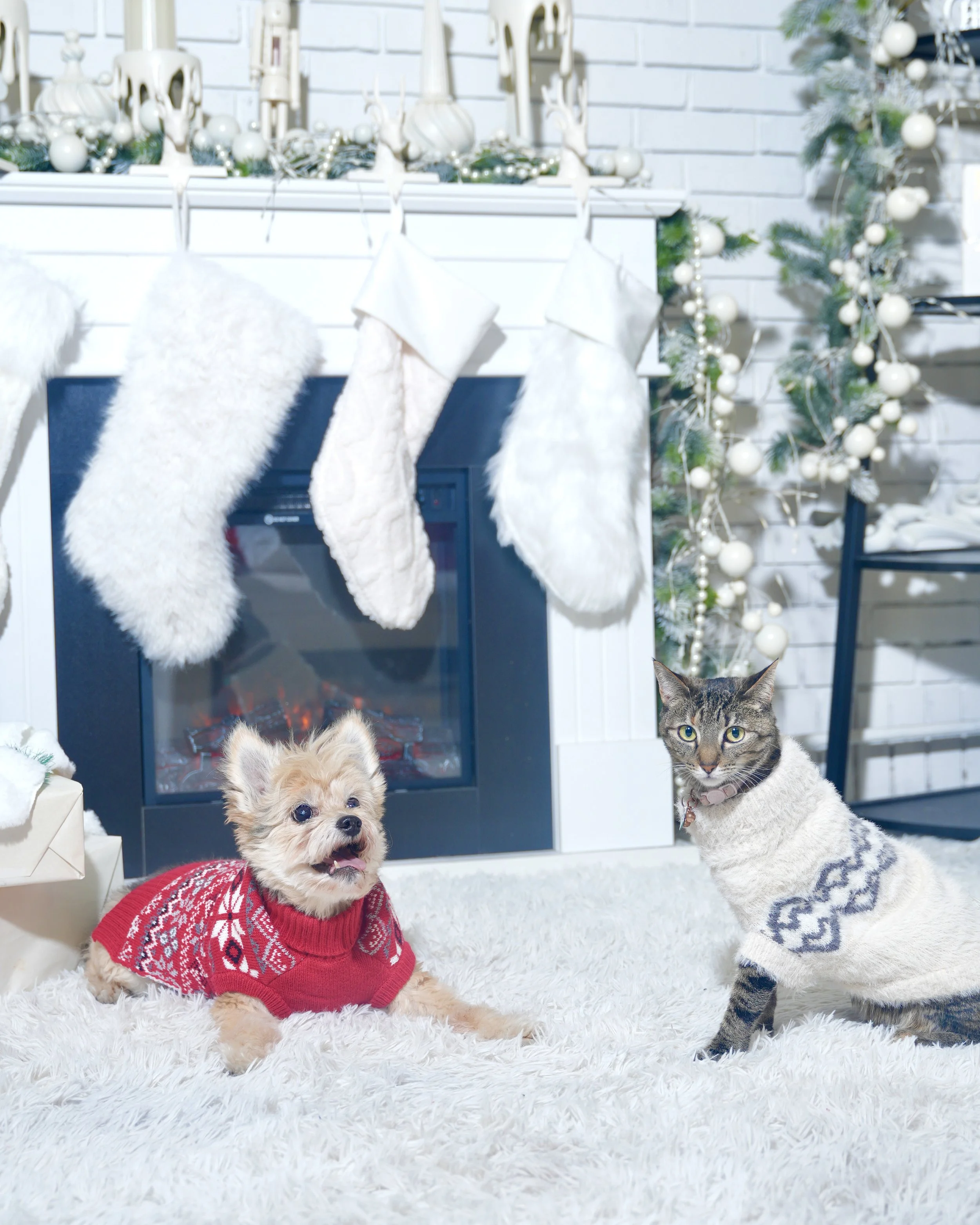 Eye Of Avella Holiday8.jpg