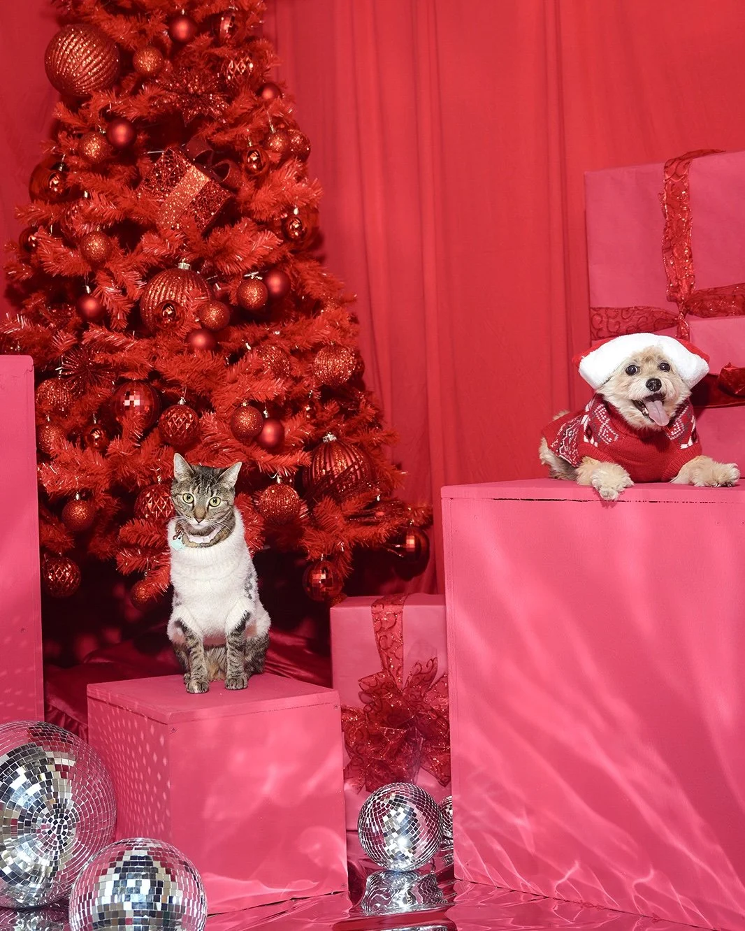 Eye Of Avella Holiday9.jpg