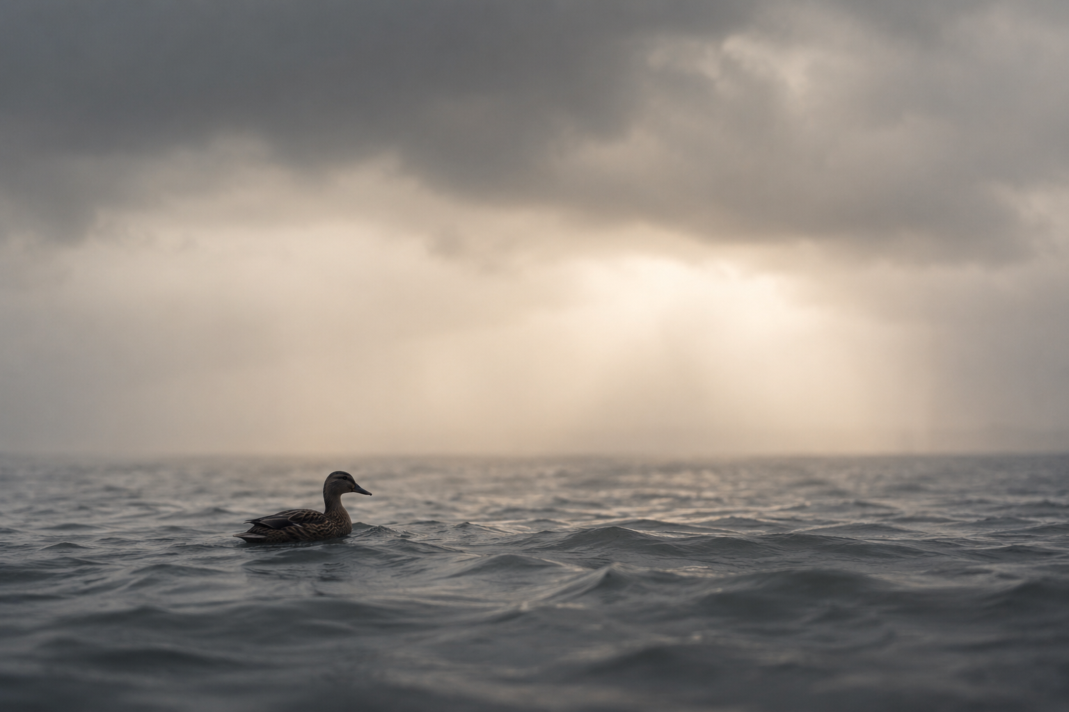 Be Still