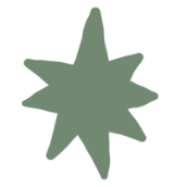 A green star-shaped object with multiple points.