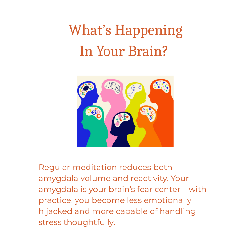 What's Happening In Your Brain.png