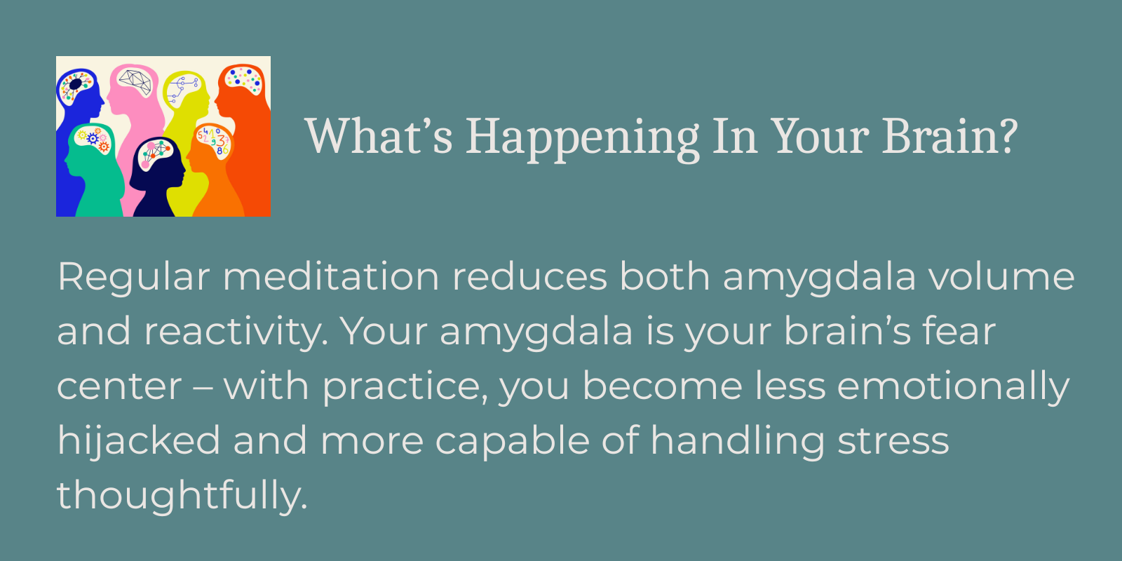 What's Happening In Your Brain.png