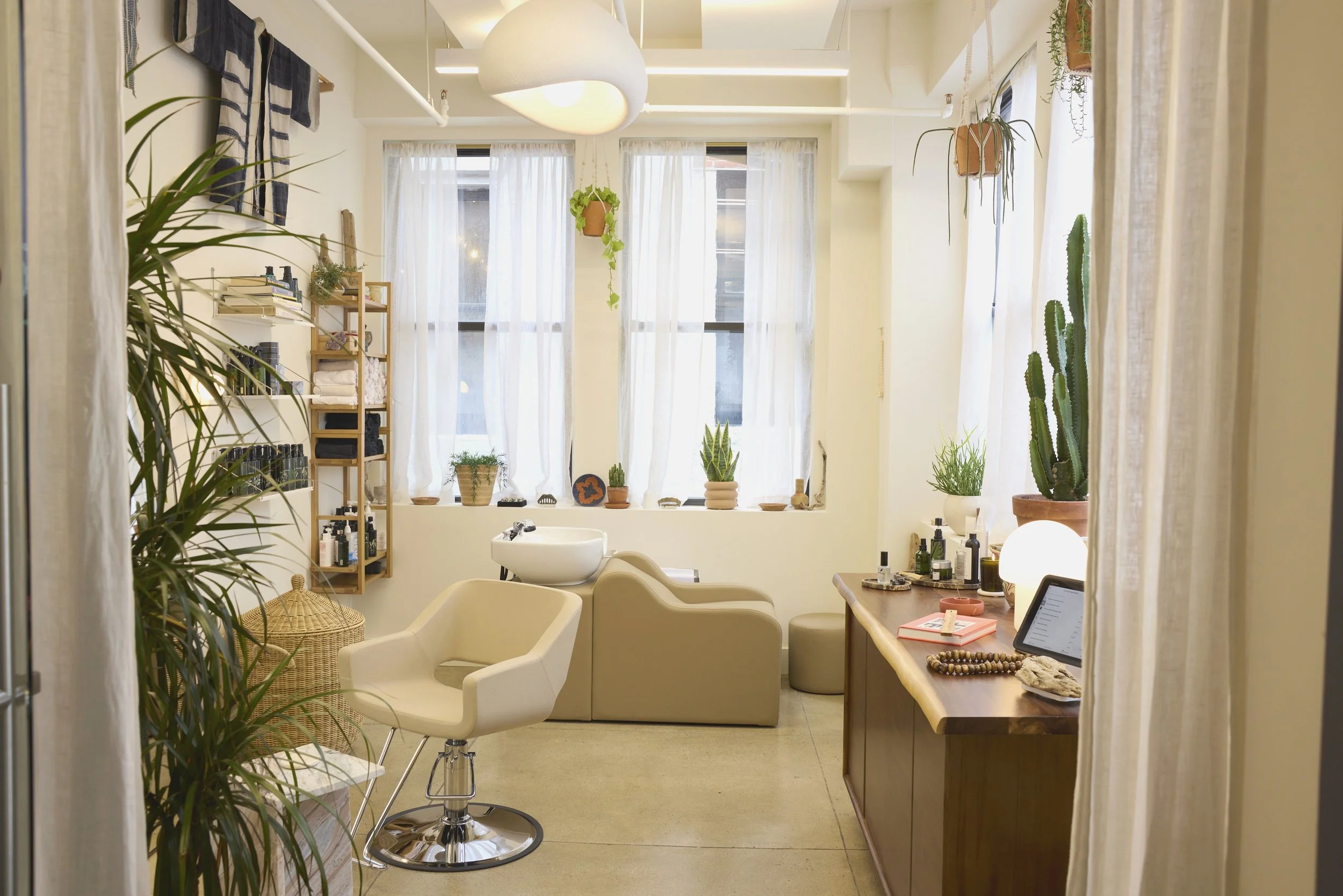 calm soft natural light plants natural wood with haircutting chair