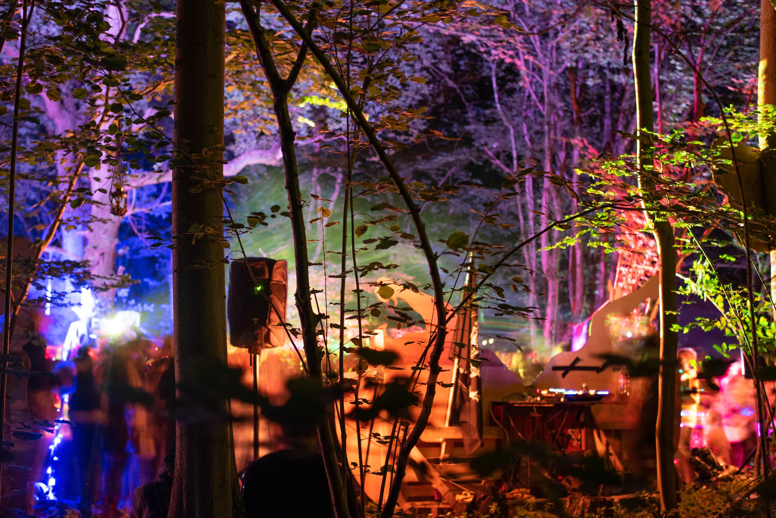 no wm 12-5-20 Forest rave-15.JPG