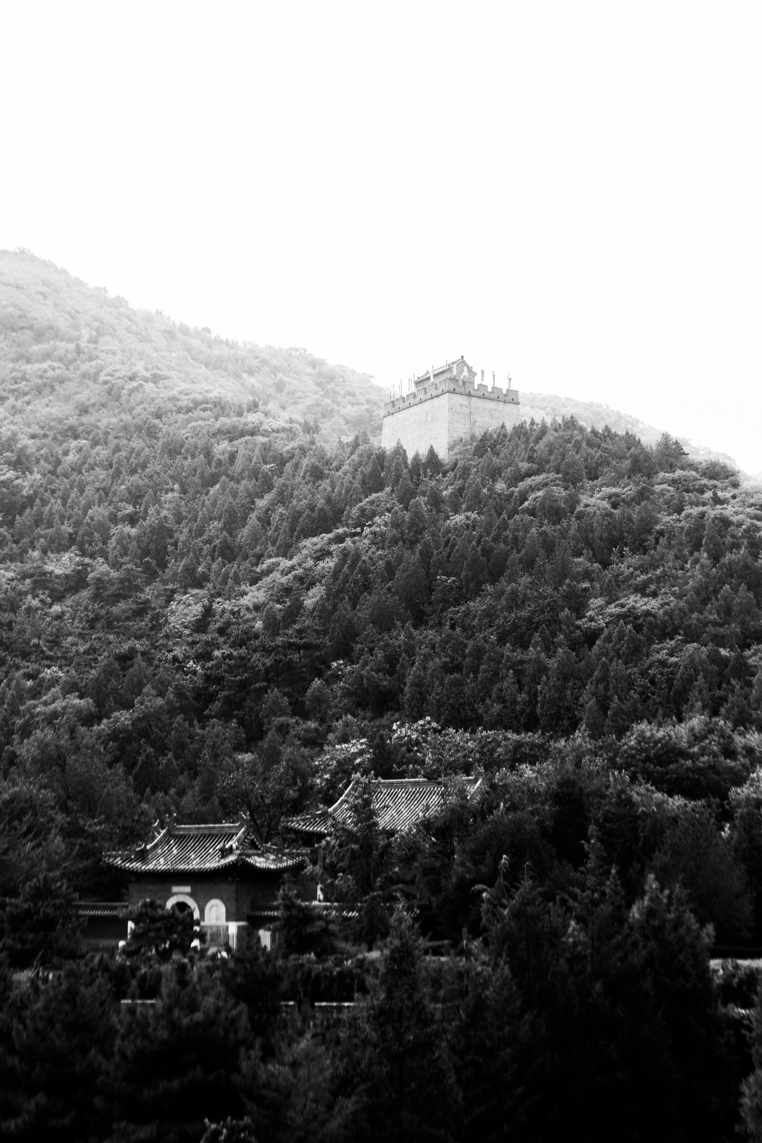 Black and white photo of a traditional Asian temple with curved roofs, nestled among dense trees on a hillside, with a fortress on top of the hill in the background.