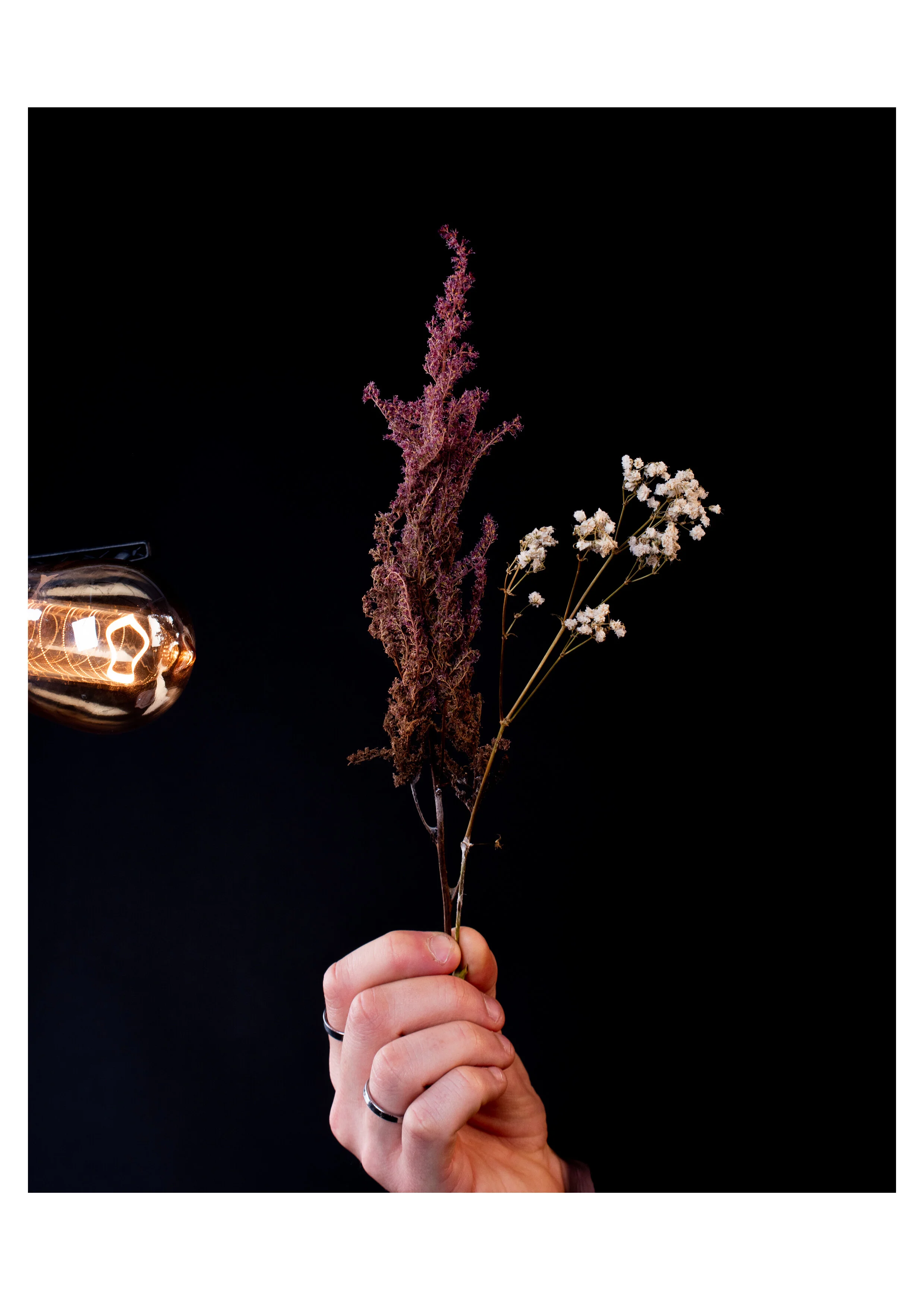 A hand holding a small bouquet of dried flowers against a black background, with a light bulb on the left.
