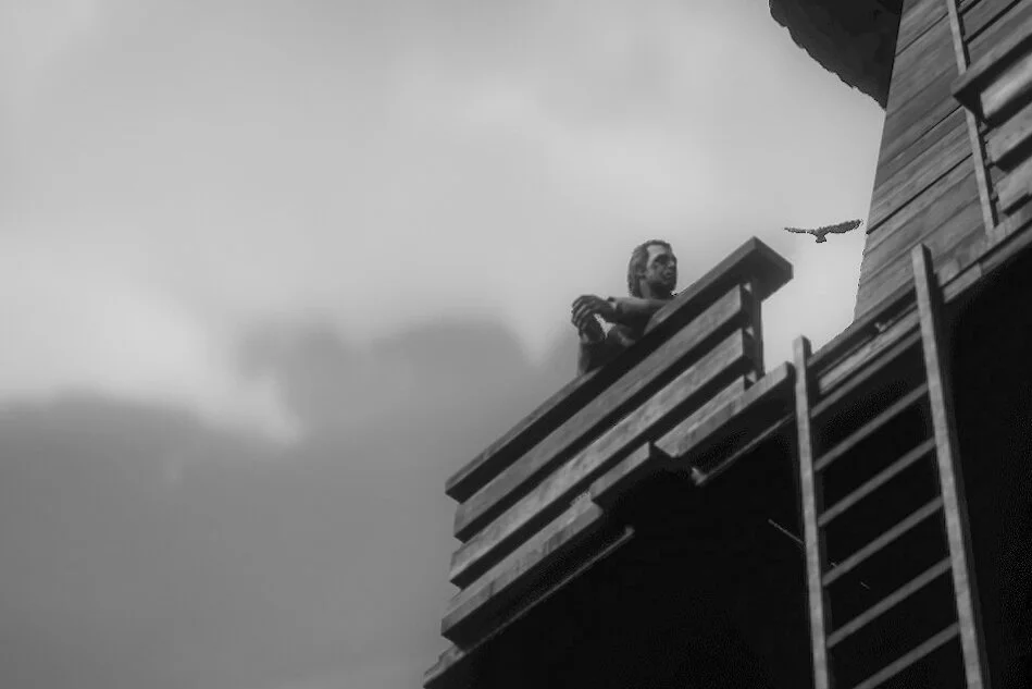 A man standing on a wooden balcony looking out at the sky, with a bird flying nearby.