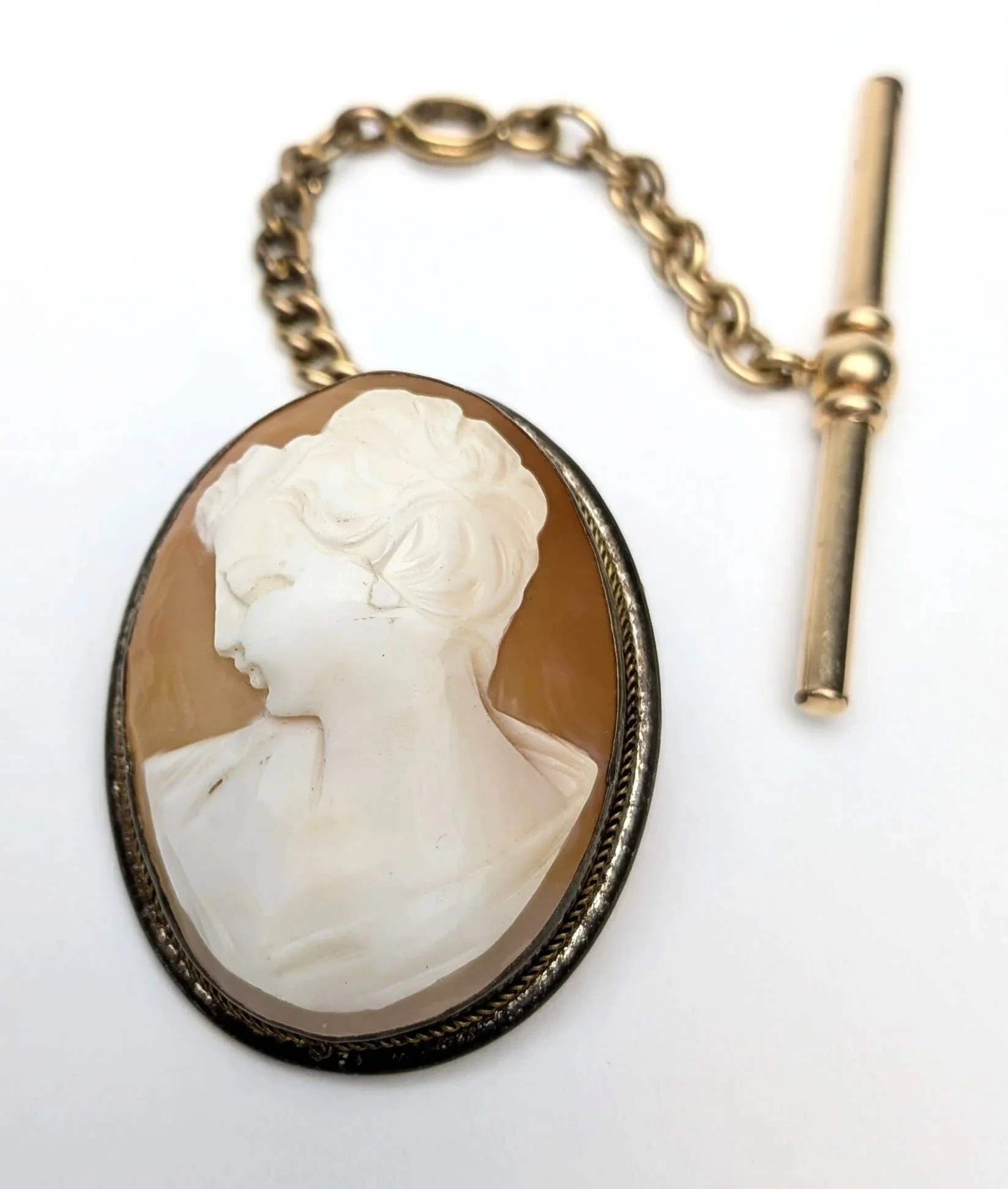 Shell+Cameo+Brooch+Pendant+with+Antique+Victorian+Gold+Filled+T+Bar+1.jpg
