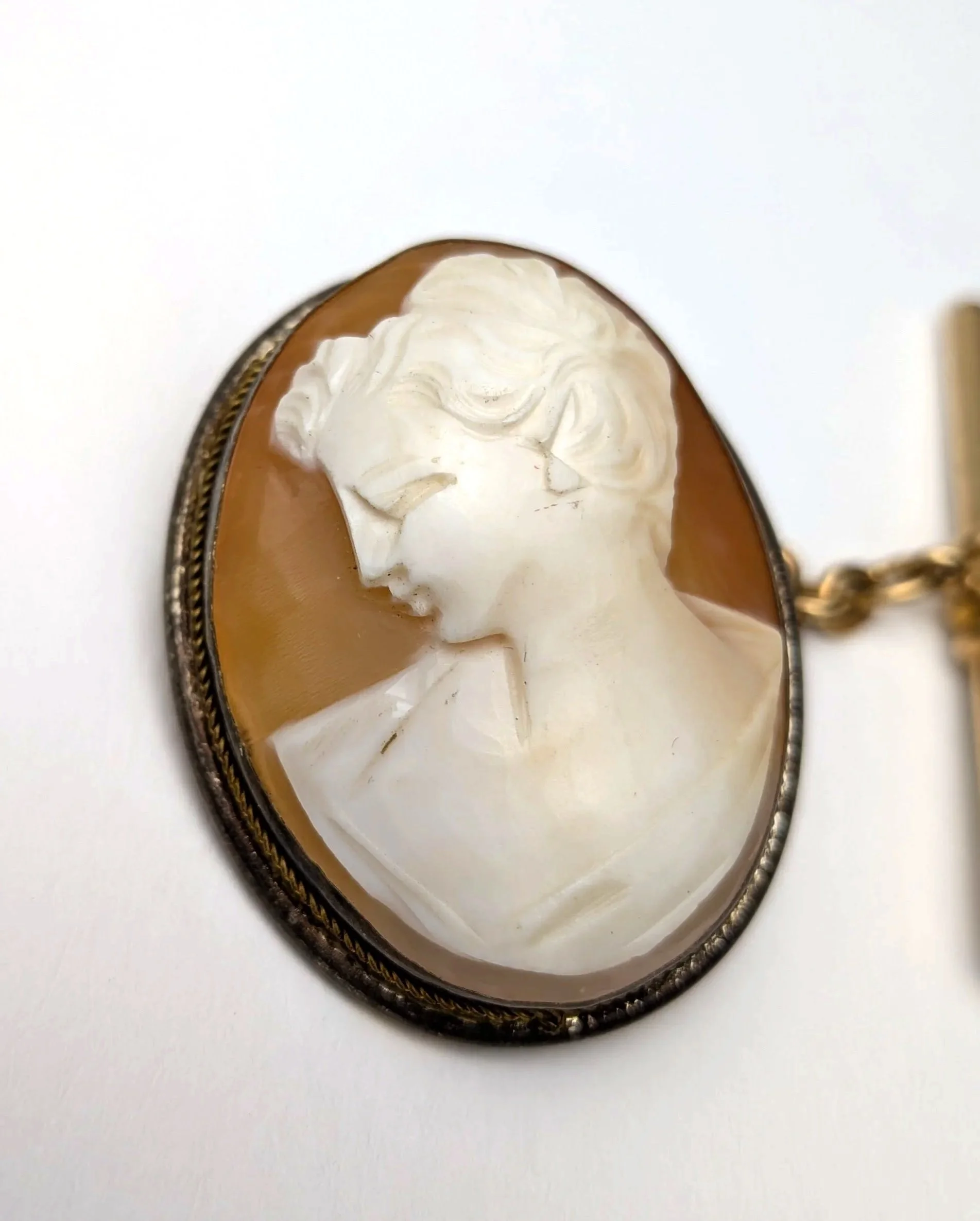Shell+Cameo+Brooch+Pendant+with+Antique+Victorian+Gold+Filled+T+Bar+3.jpg