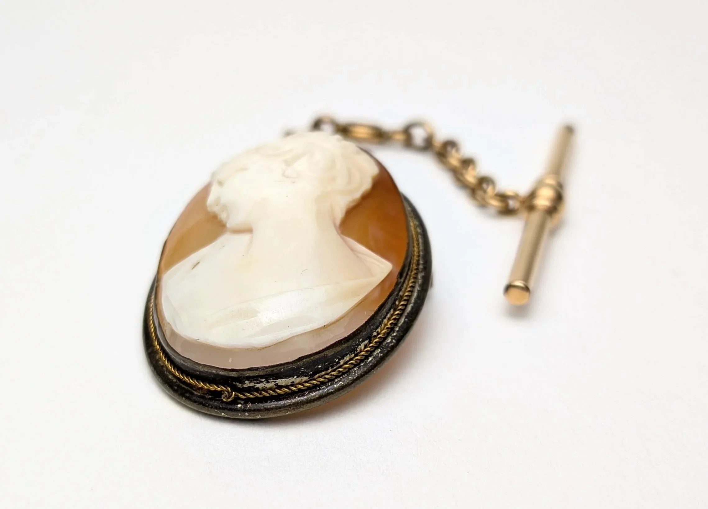 Shell+Cameo+Brooch+Pendant+with+Antique+Victorian+Gold+Filled+T+Bar+2.jpg