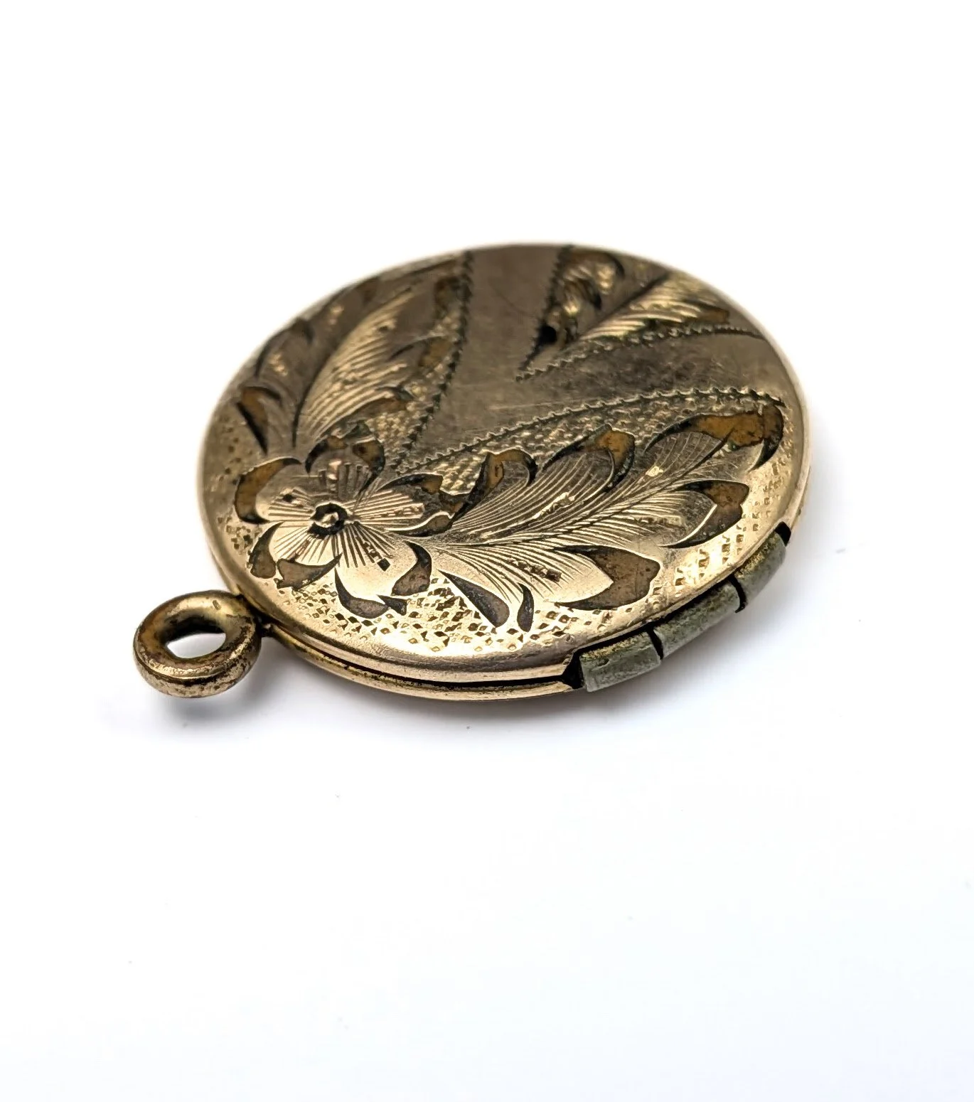 PXL_20260813_174413188.MACRO_FOCUS.jpg