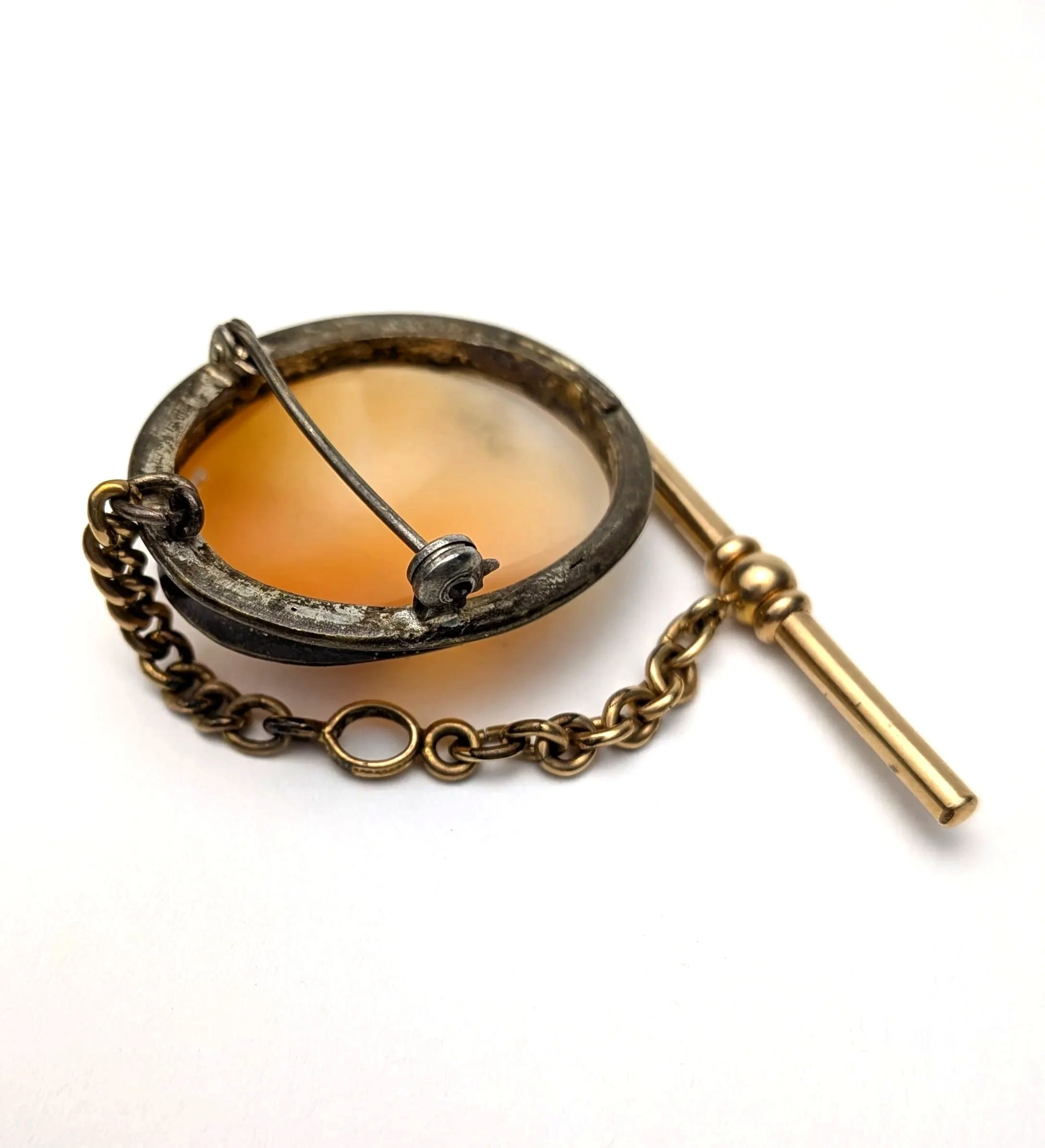Shell+Cameo+Brooch+Pendant+with+Antique+Victorian+Gold+Filled+T+Bar+4.jpg