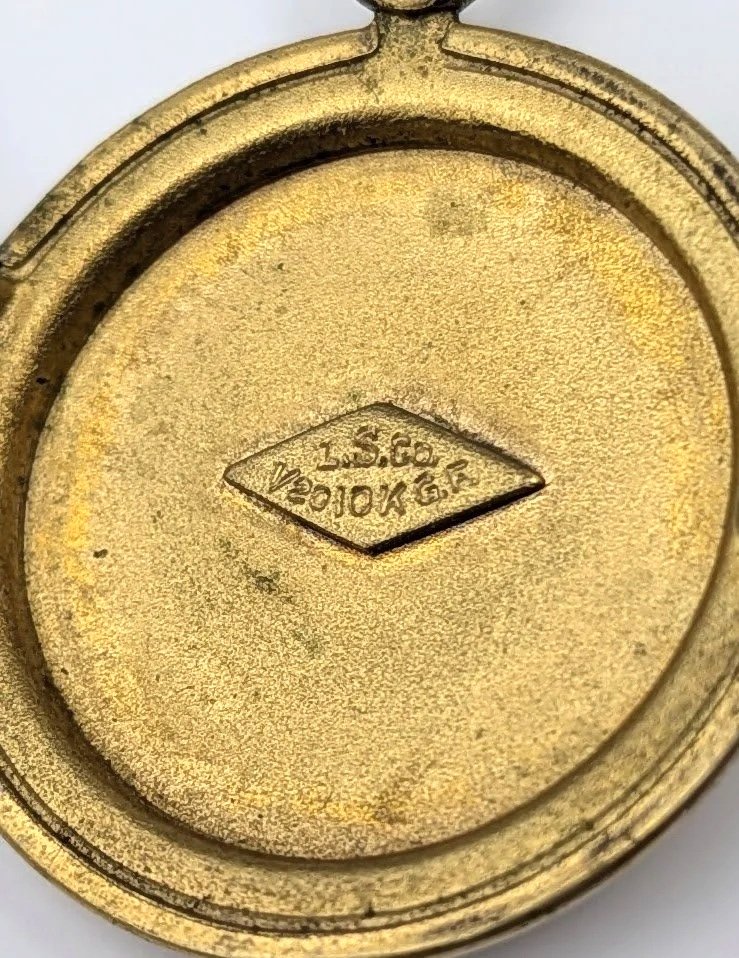 PXL_20260813_174438643.MACRO_FOCUS.jpg