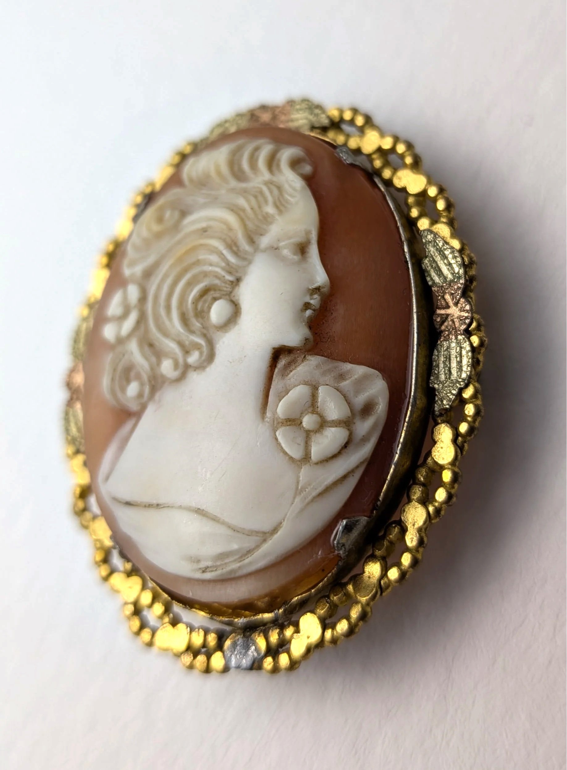 Shell+Cameo+Pendant+Brooch+in+Ornate+Gold+Filled+Frame+8.jpg