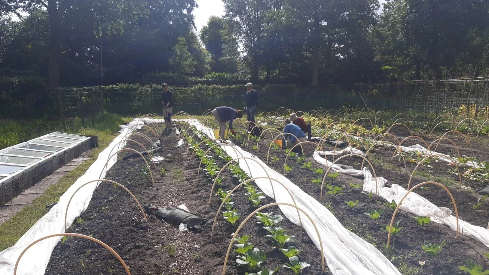 Zeven mensen en een hond op een tuin, met tuinbedden en een wheelbarrow, in een groene omgeving onder een blauwe hemel.