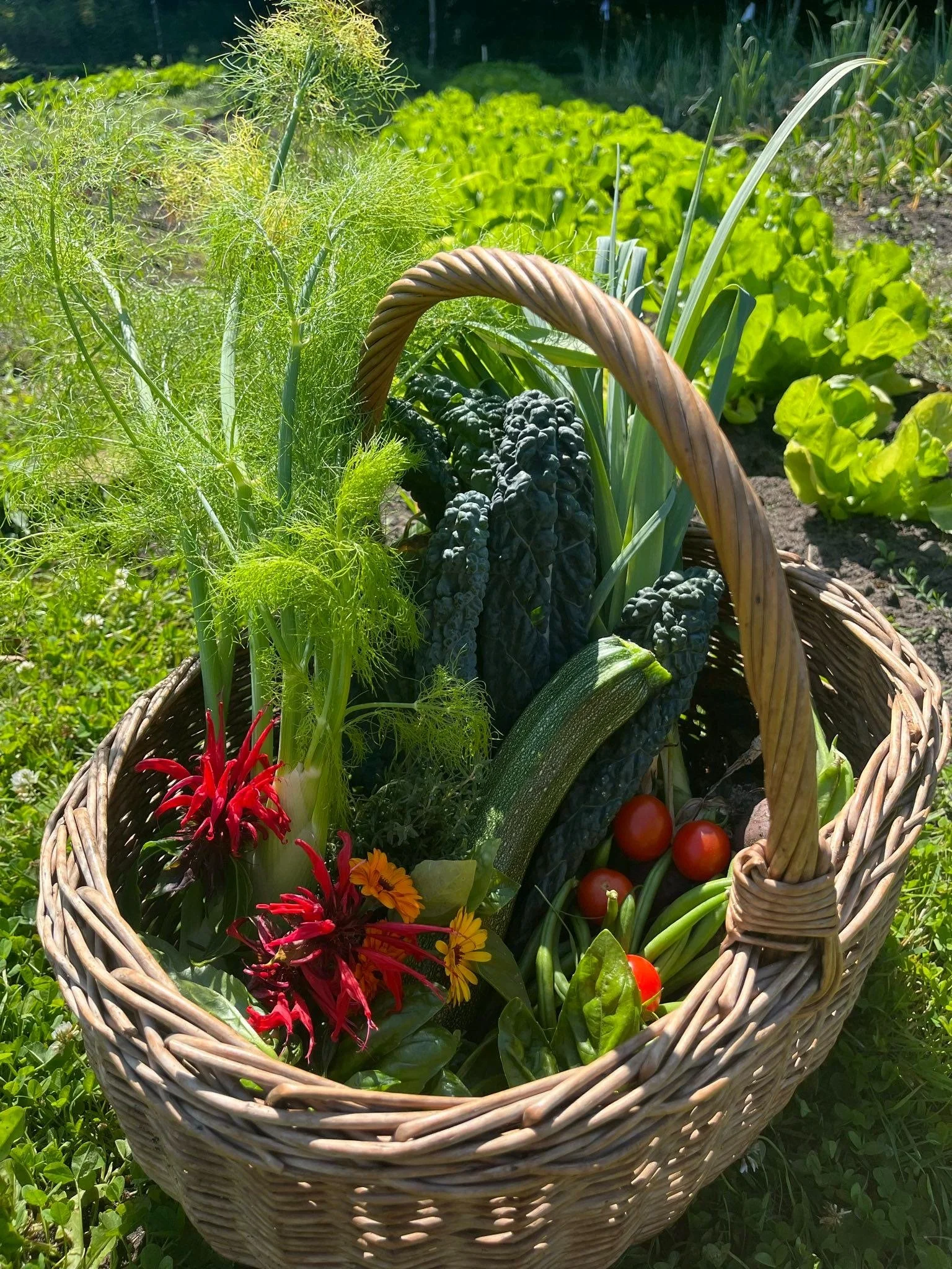 Een mand met verse groenten en bloemen, geplaatst op een tuinpad, omgeven door groene planten en gewassen.