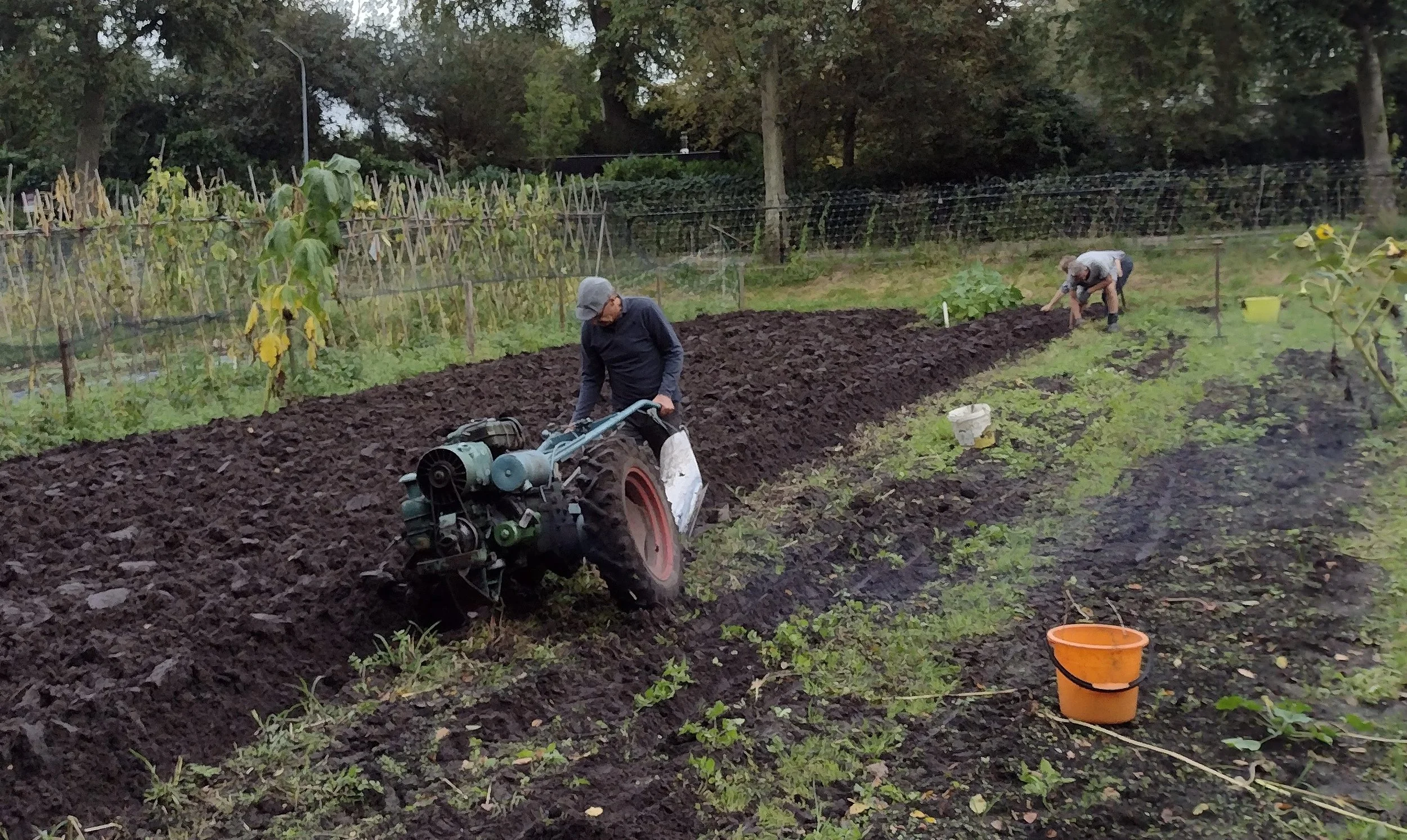 Twee mensen werken in een tuin of veld, de ene persoon gebruikt een zware machine om de grond te bewerken, terwijl de andere persoon handmatig de grond omwoelt. Er staan planten en jonge boompjes op de achtergrond.