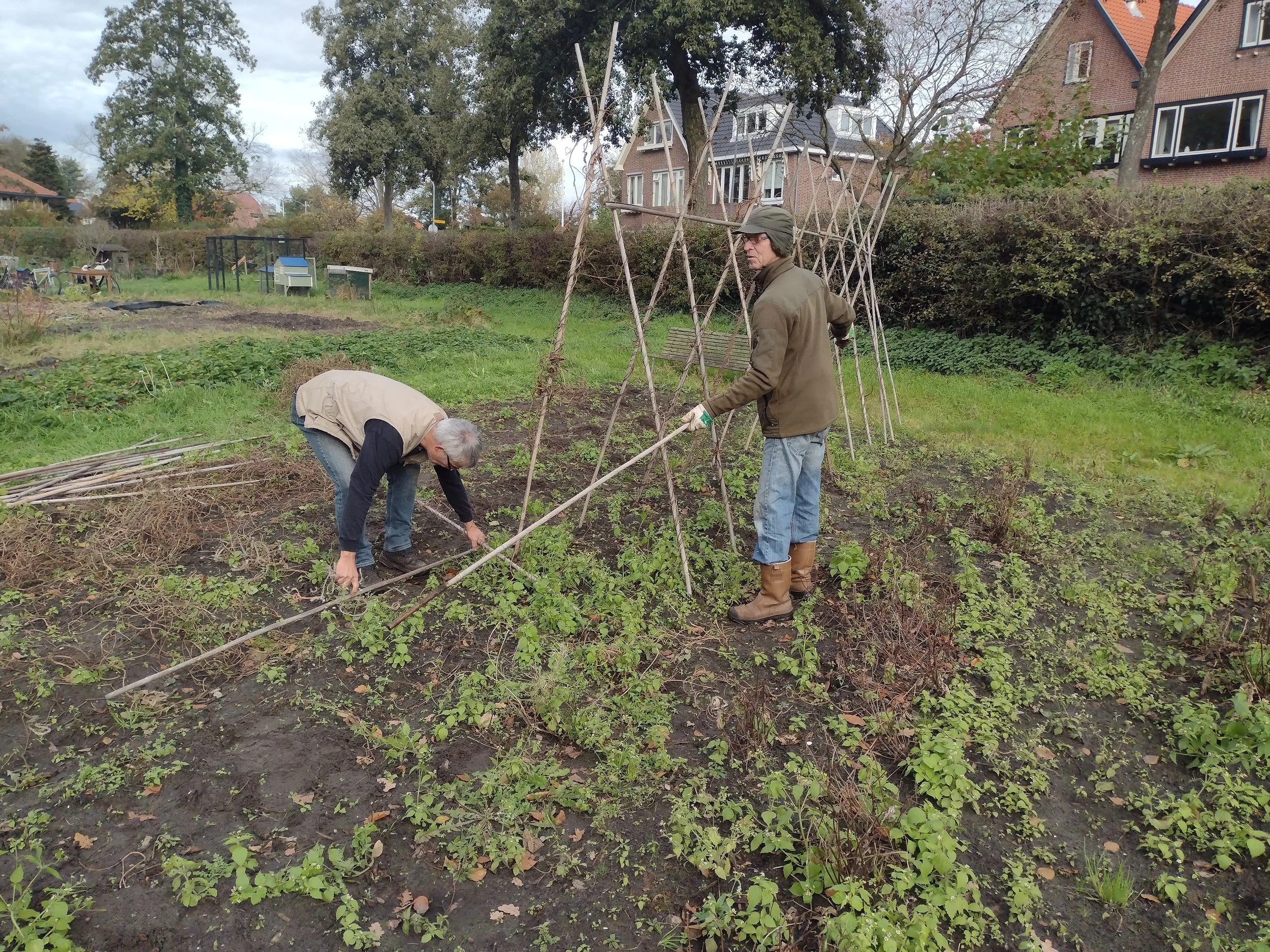 Twee mensen werken samen in een tuin, een knielend en de ander staand, bezig met het planten of verzorgen van planten. Ze gebruiken een lange stok om de planten te ondersteunen.