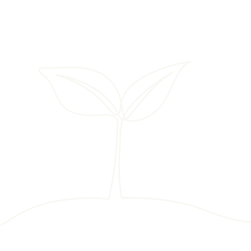 Een eenvoudige witte schets van een jonge plant met twee bladeren op een donkere achtergrond.