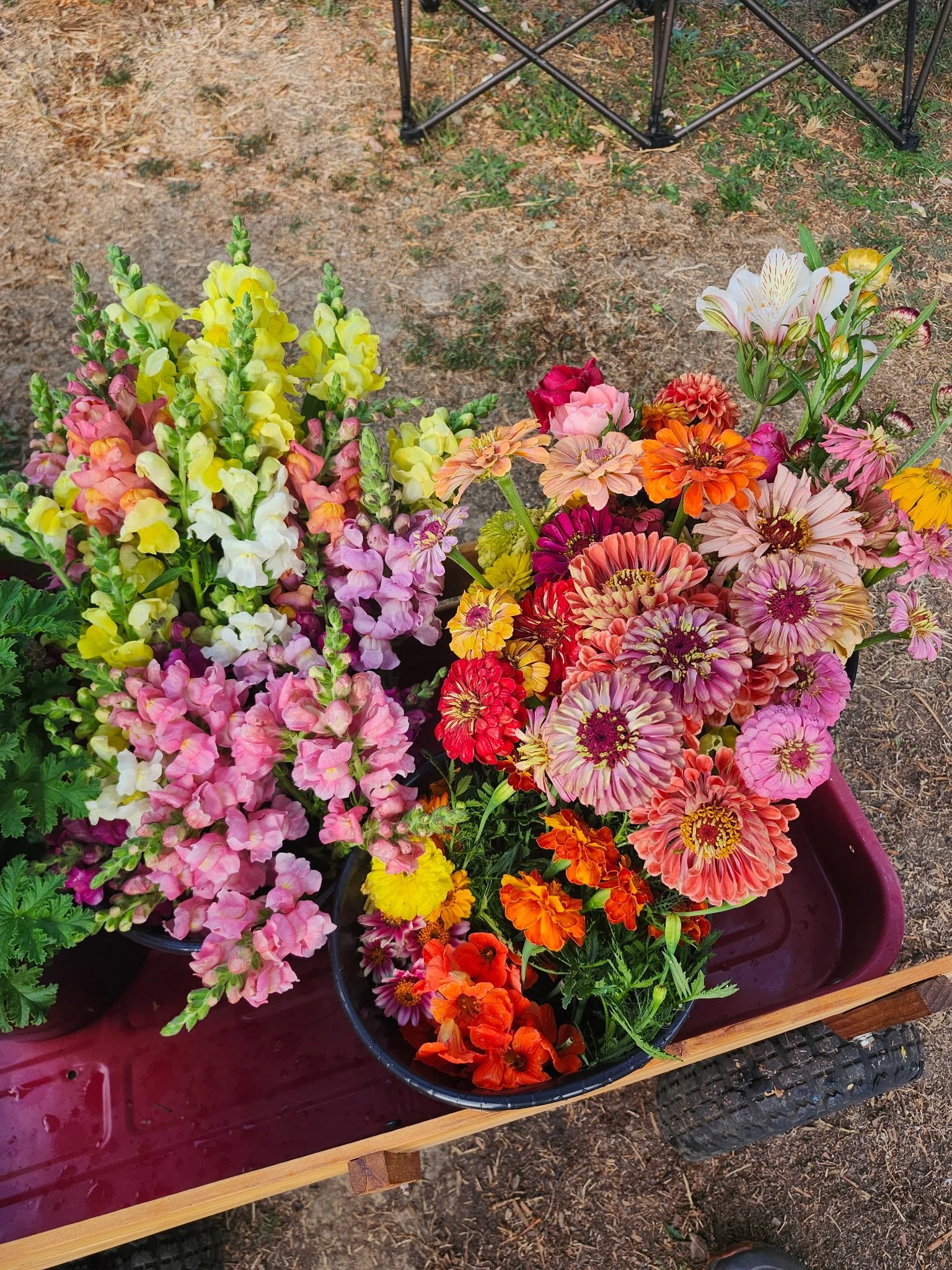 A cart with colorful flowers including snapdragons, zinnias, and lilies on a dirt ground.