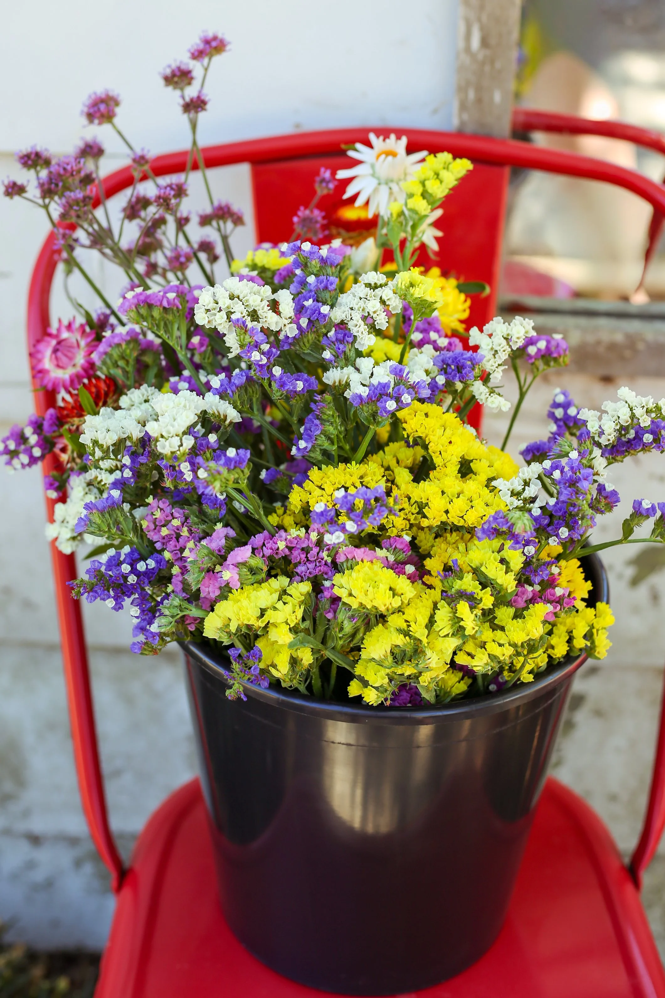 Colorful bouquet of flowers in a black bucket placed on a red chair.