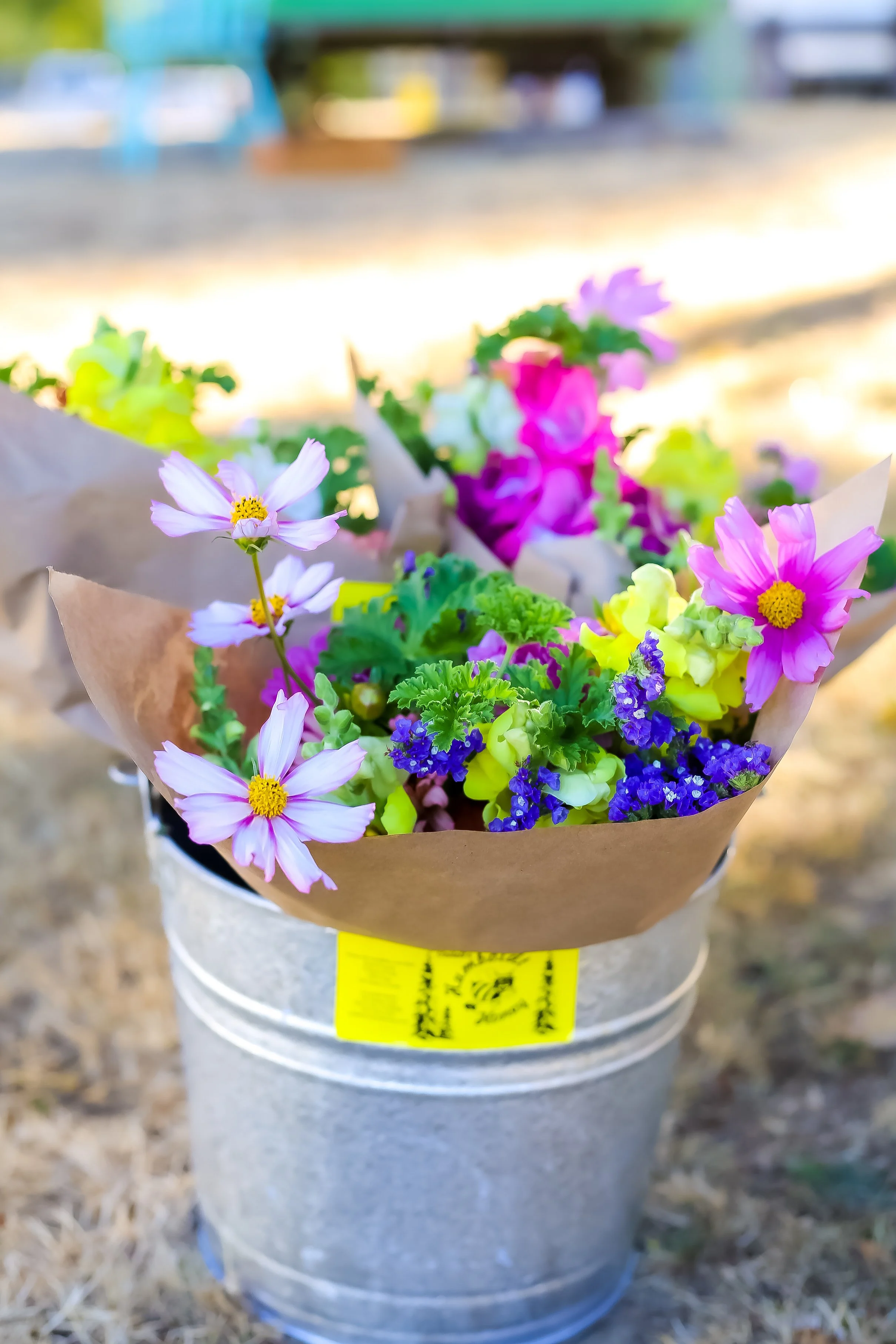 Colorful bouquet of flowers in a metal bucket, with pink, purple, and yellow flowers, outdoors on a sunny day.