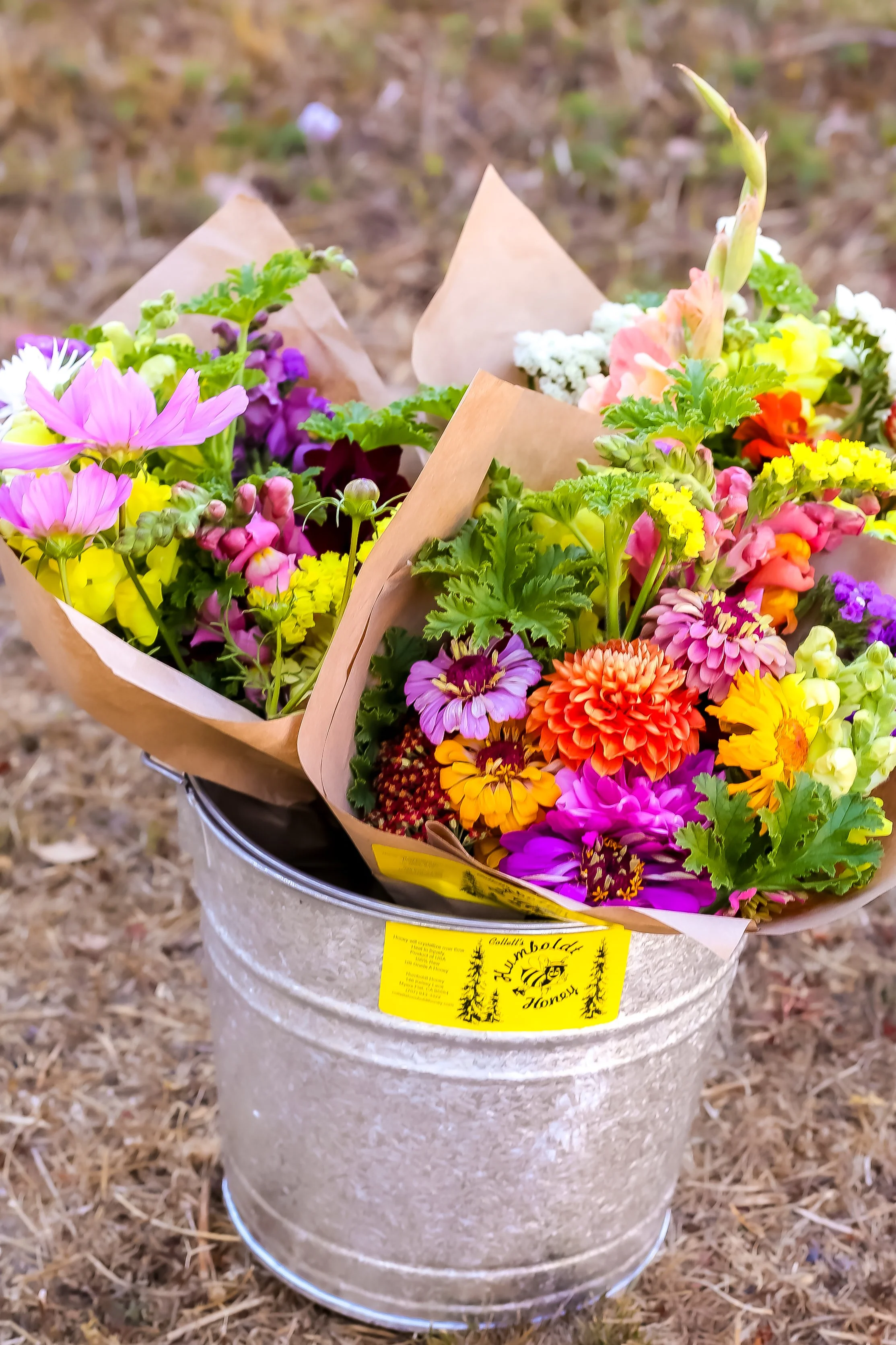 Colorful flower bouquets wrapped in brown paper placed inside a metal bucket on dry ground.