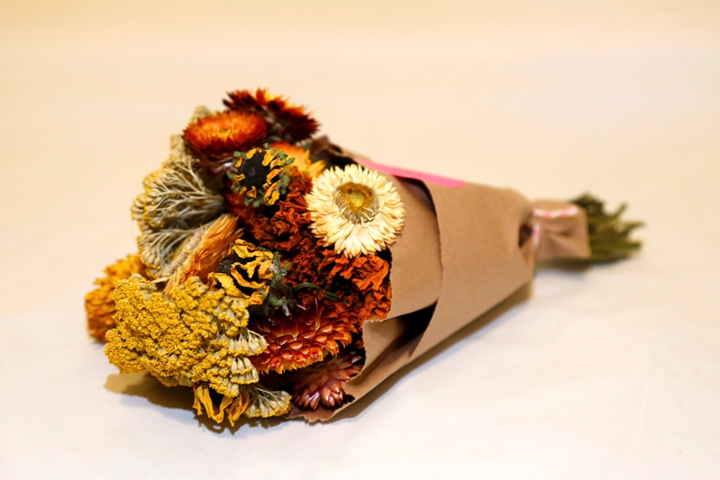 small yellow_orange.png