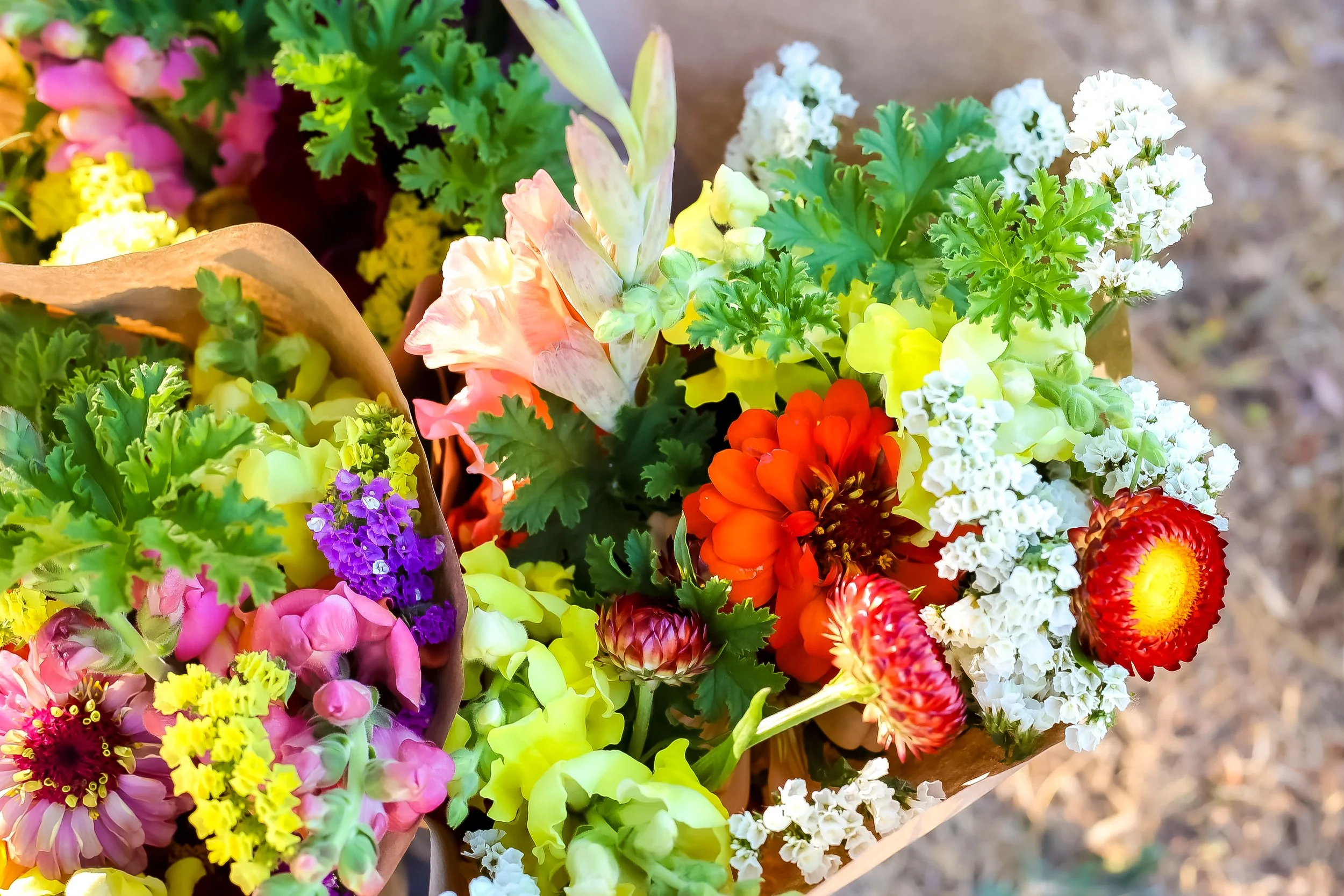 Colorful bouquet of various flowers including red, orange, pink, yellow, purple, and white blooms.