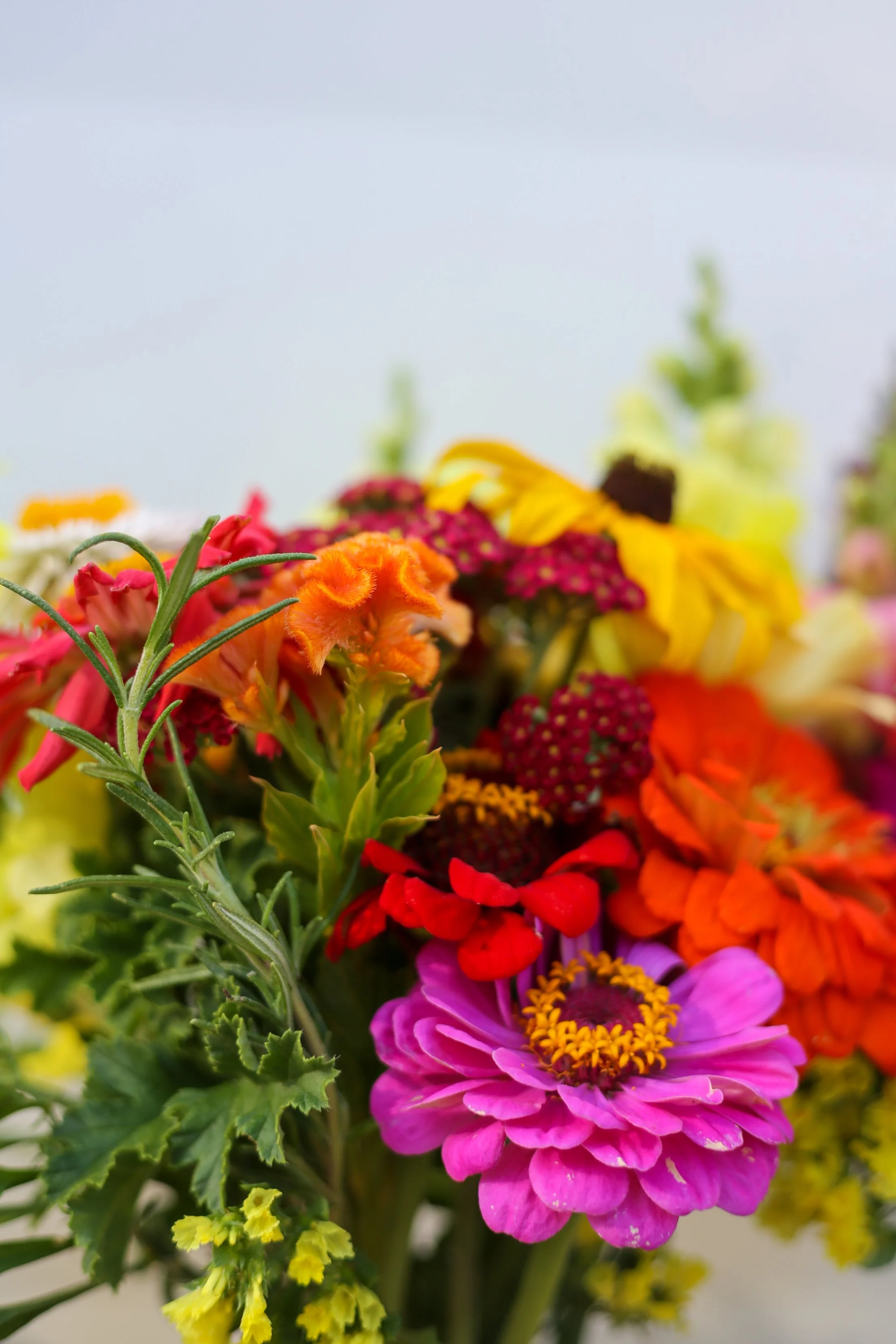 Close-up of a colorful bouquet of various flowers, including pink, orange, yellow, red, and purple blossoms, with green foliage.