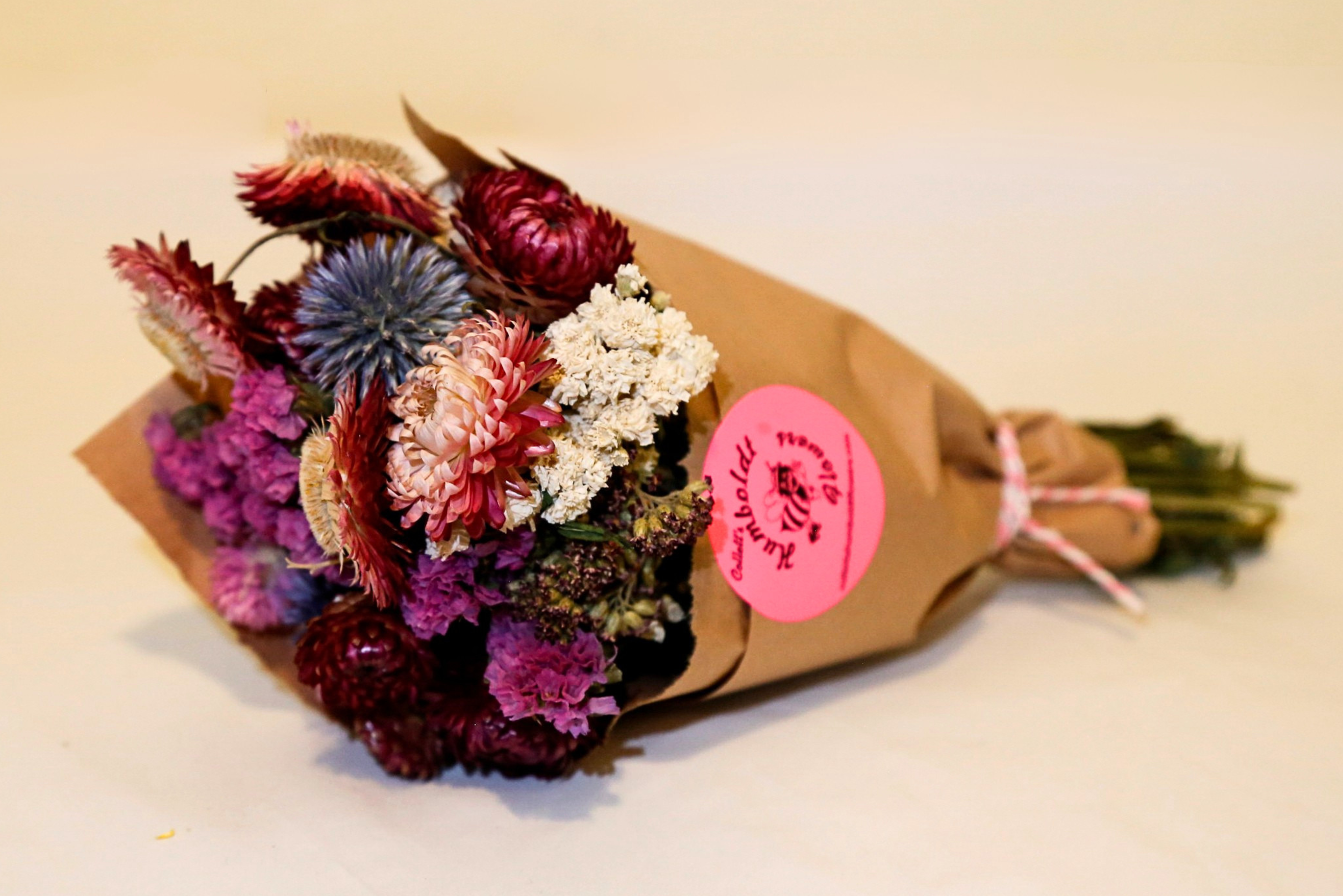 Small blue_purple.png