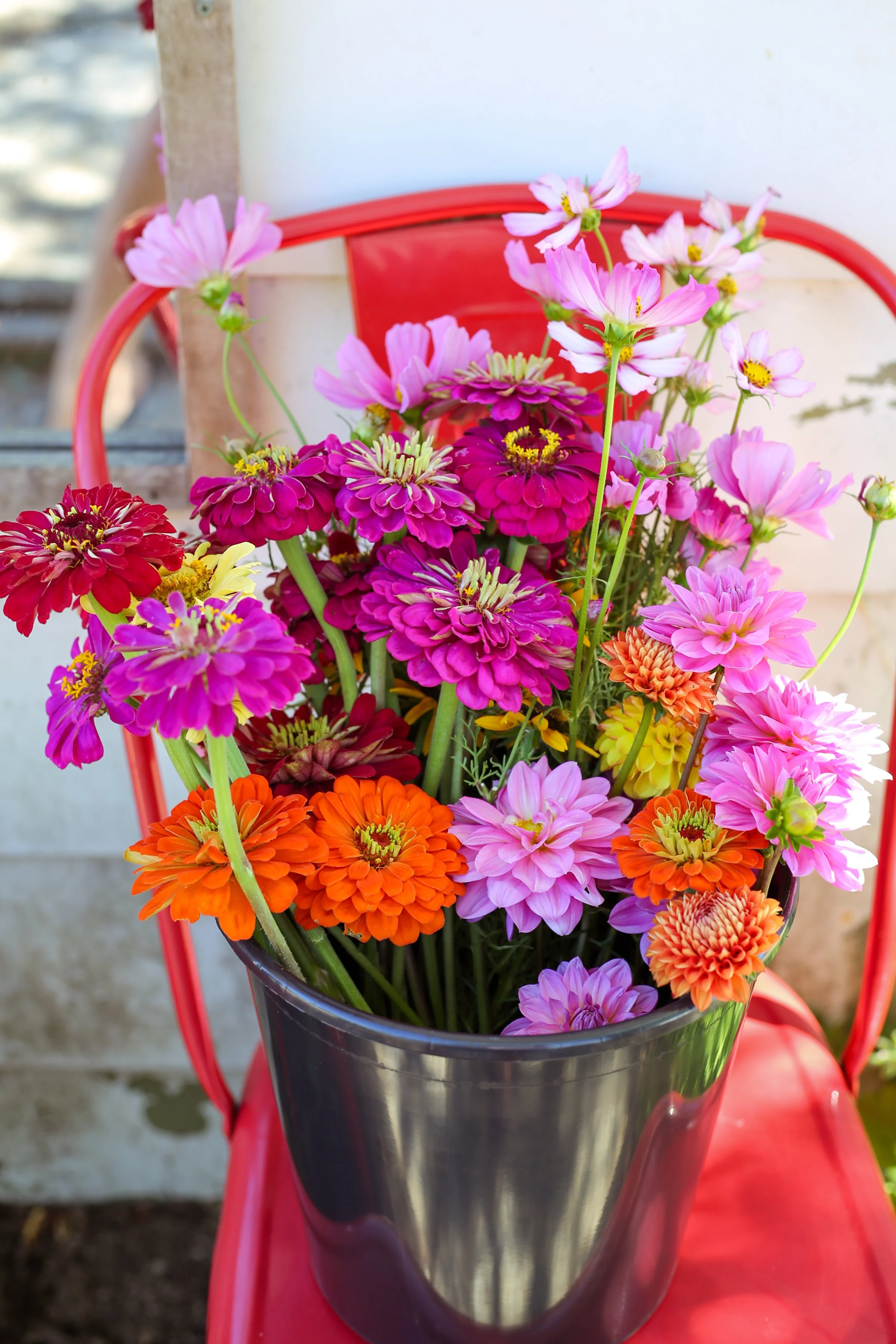 Colorful mixed flower bouquet including pink, purple, orange, and yellow flowers in a black vase placed on a red chair.