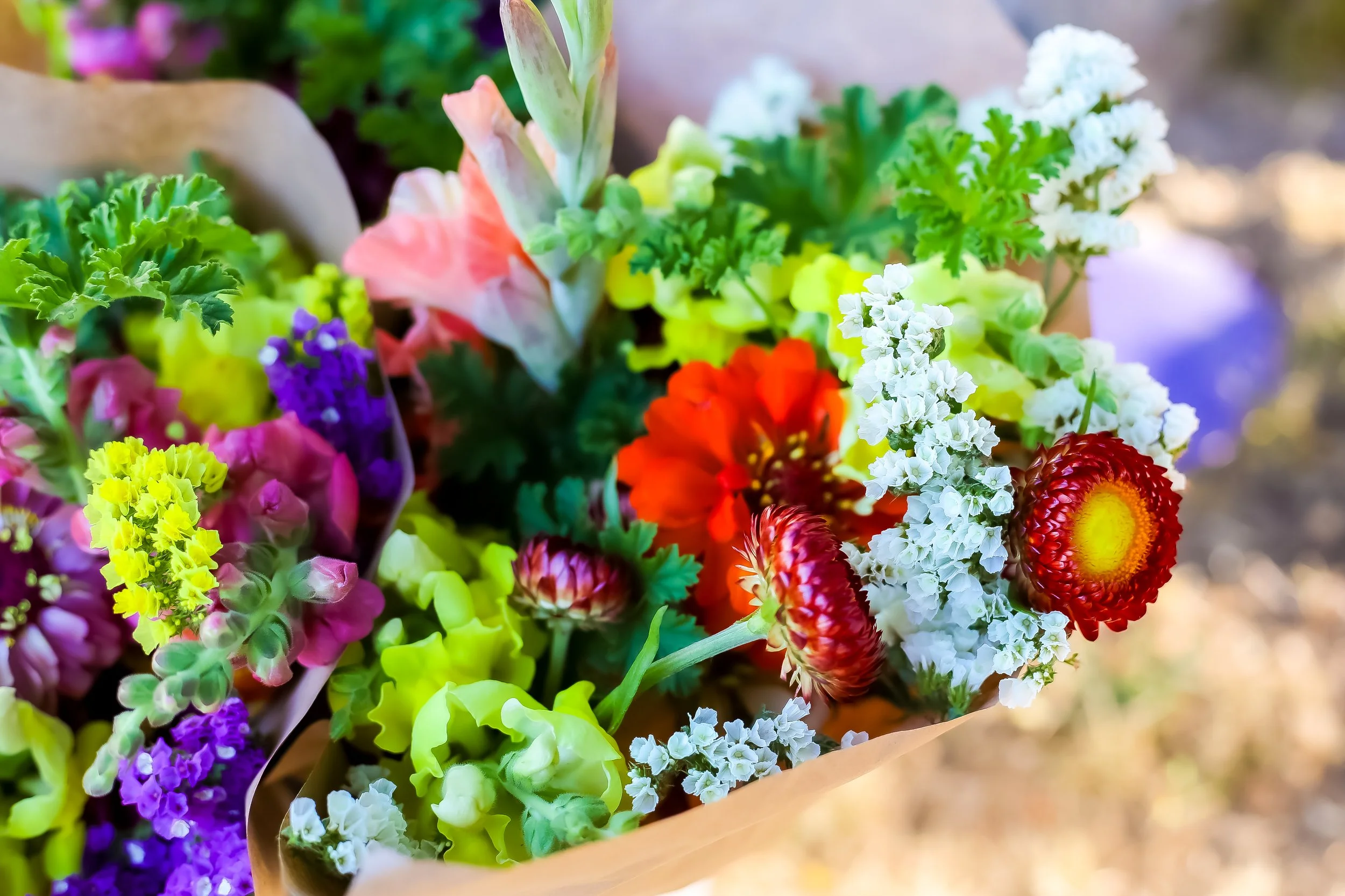 Colorful bouquet of various flowers, including red, orange, yellow, purple, white, and green blooms, wrapped in brown paper.