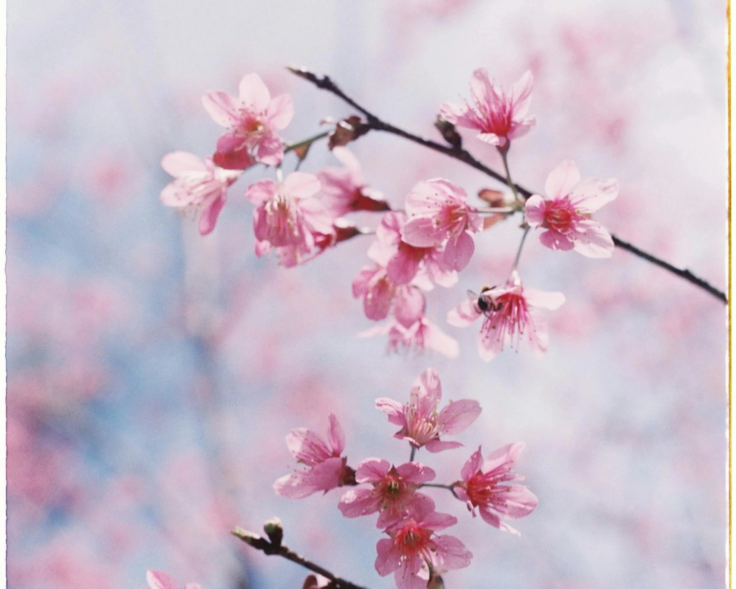 Spring Clean Your Habits