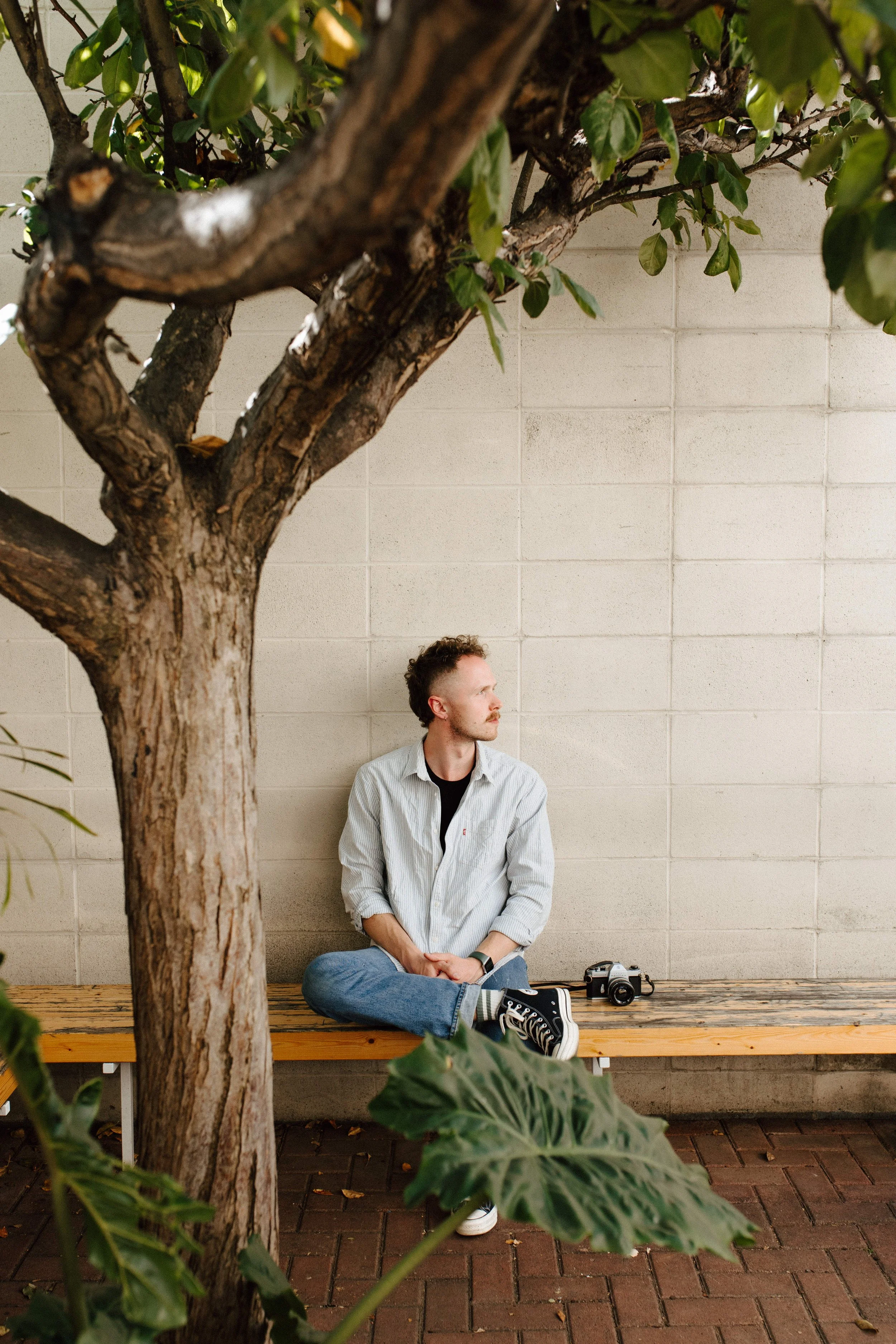 A young man with curly hair and a beard sitting on a wooden bench against a beige wall, with a camera beside him, partially obscured by a large tree and green leaves in the foreground.