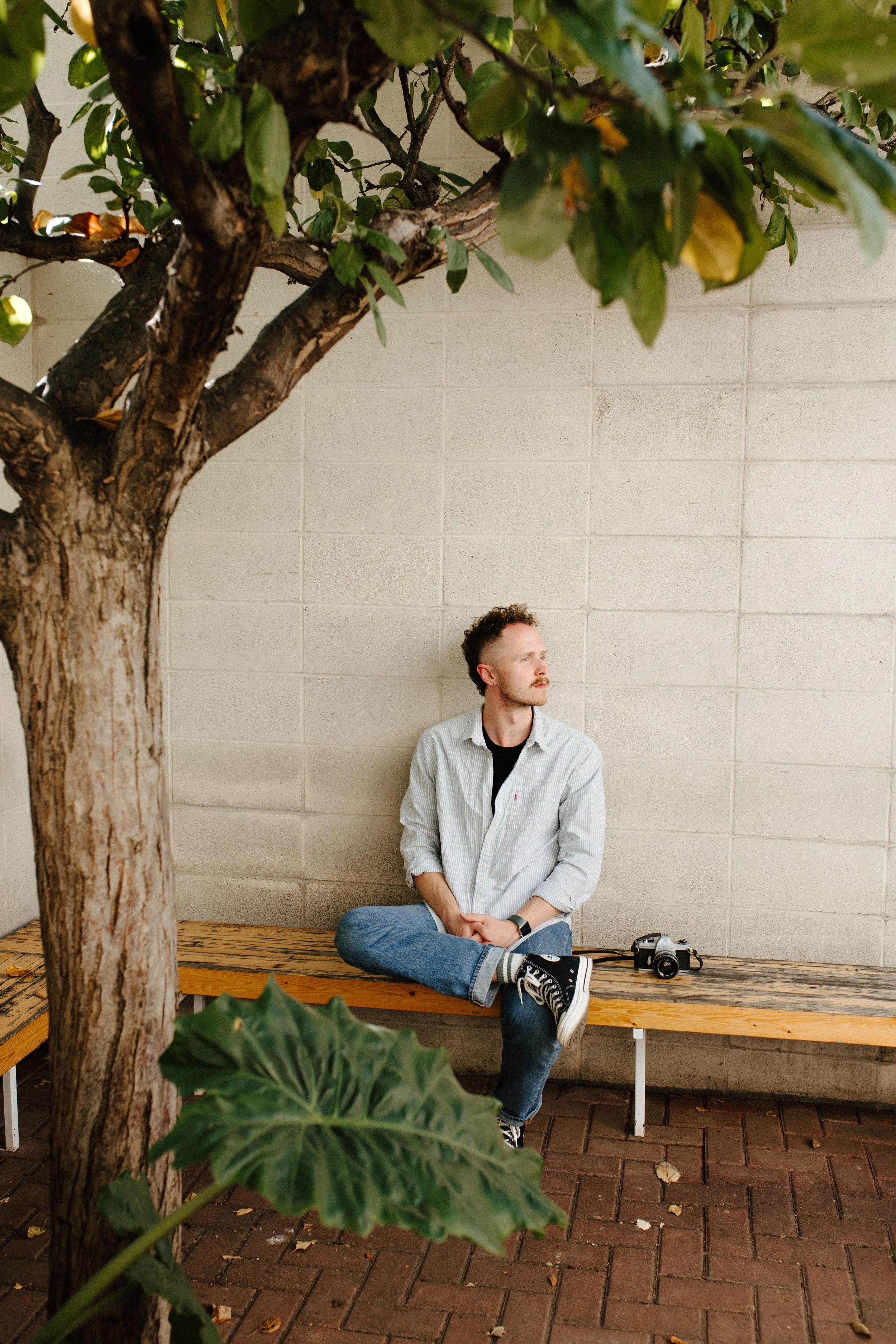 A man sitting on a wooden bench with one leg crossed over the other, leaning against a beige wall, next to a large tree and holding a camera beside him.