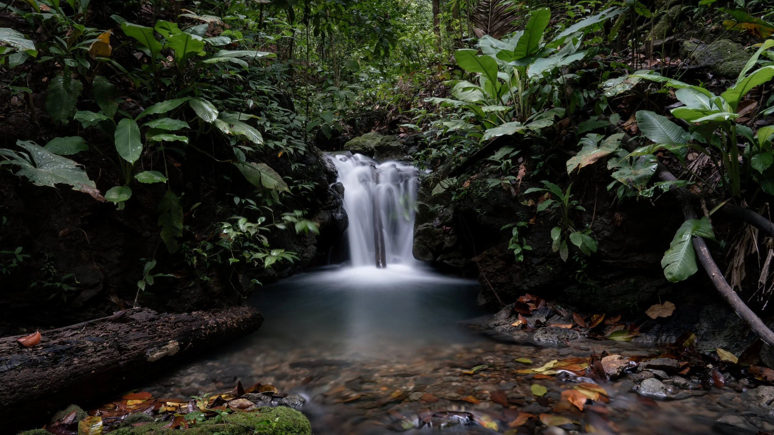 The Living Current (Waterfall I)