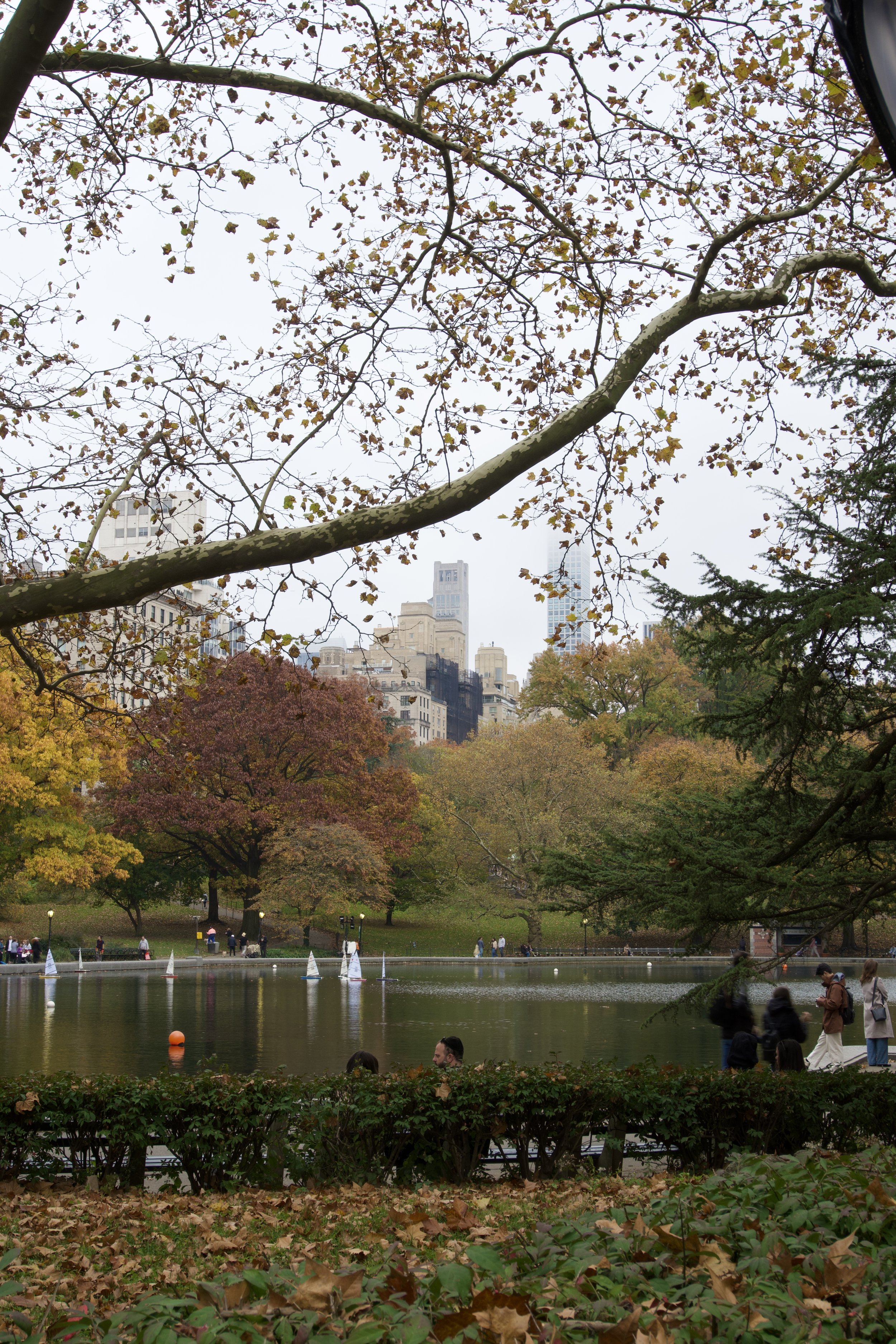 fall in central park