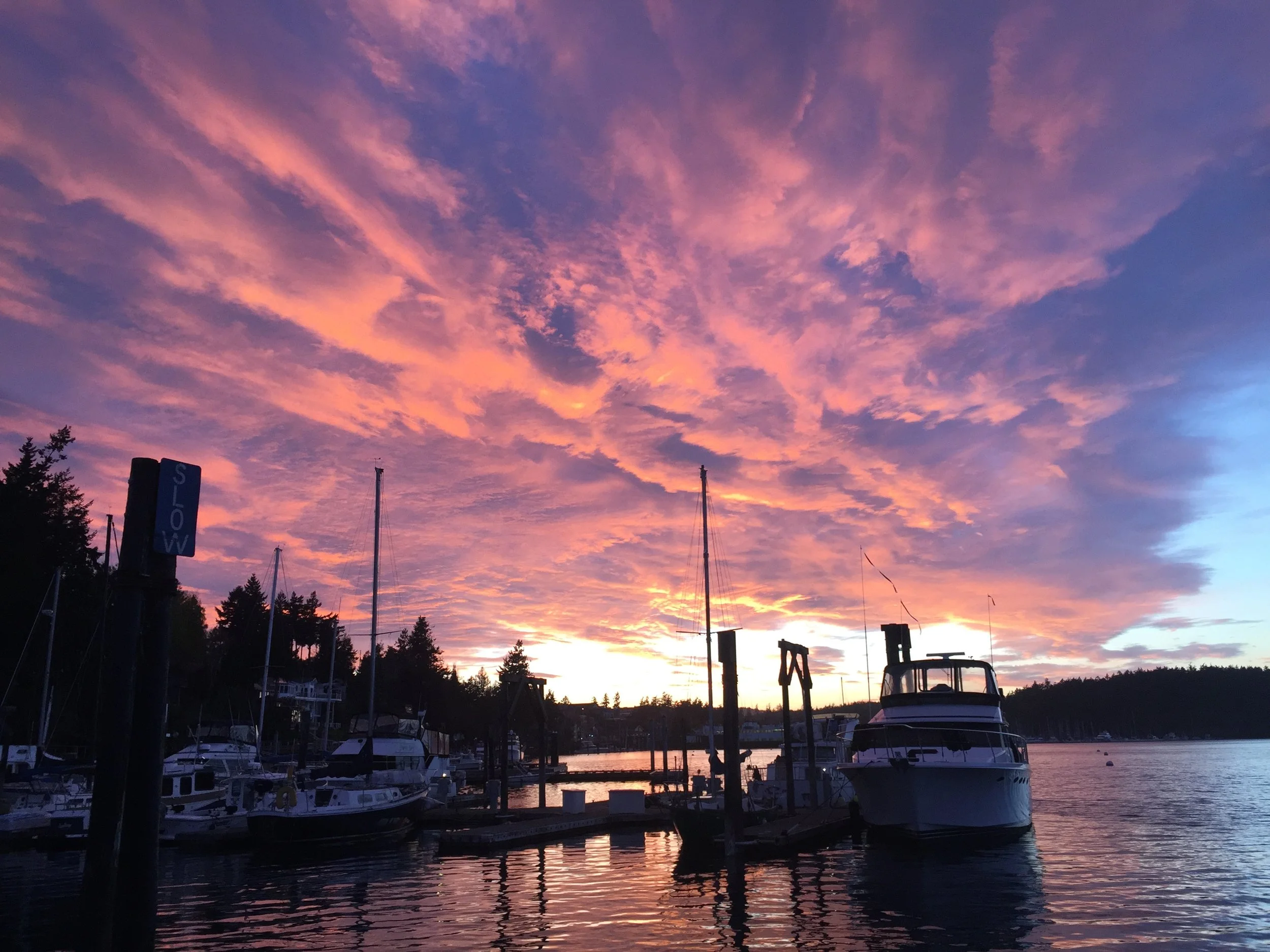 Pink sunset at the marina