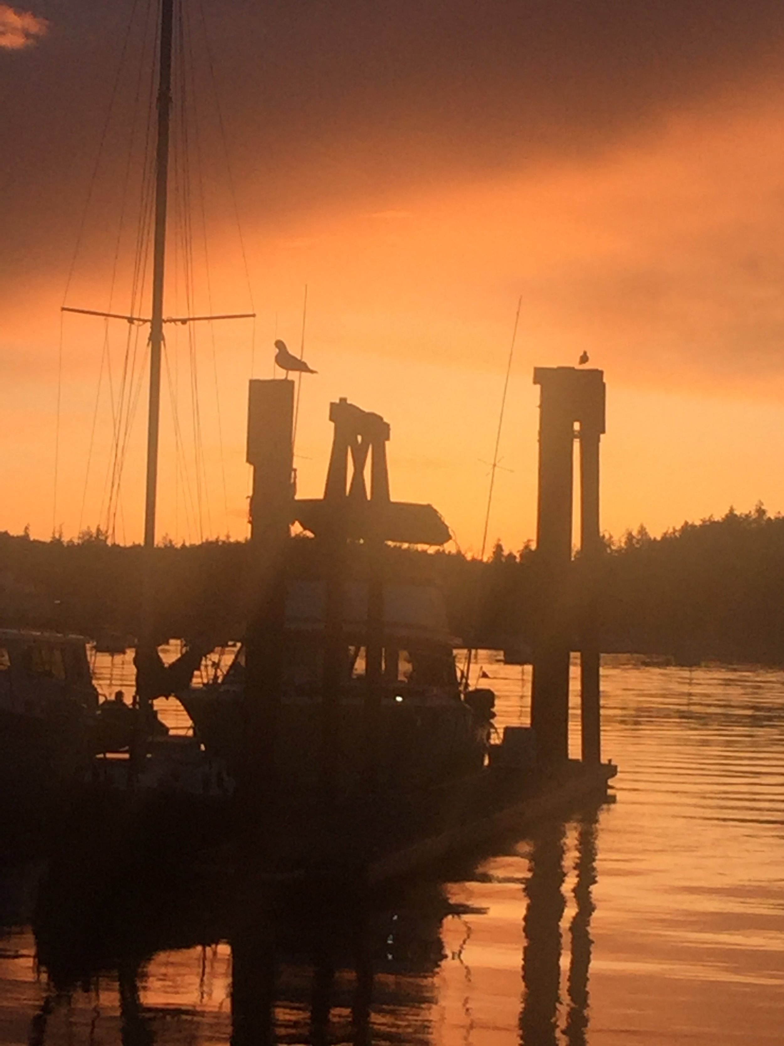 Silhouette of a boat docked at a pier during sunset, with two seagulls perched on the posts and a sailboat mast in the background.