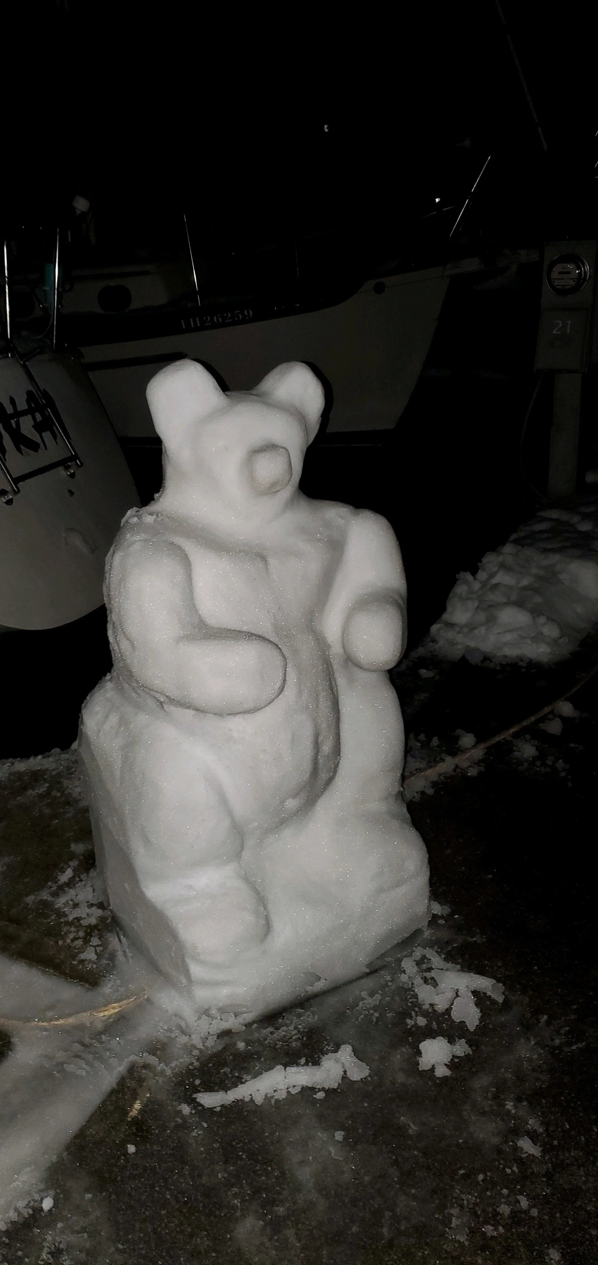 Snow Bear, January 15, 2020