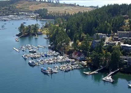 Overhead view of the marina