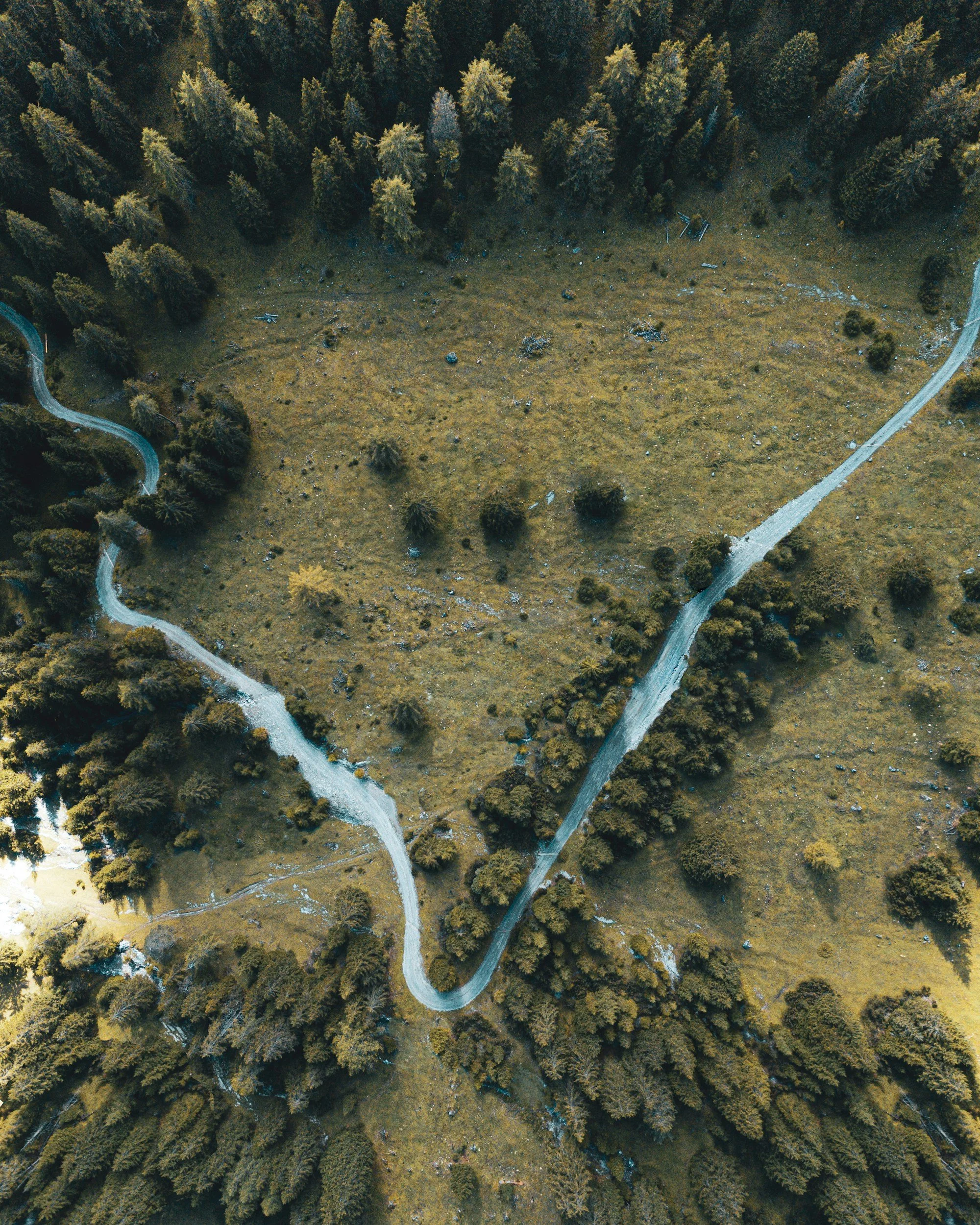 Vue aérienne d'un sentier sinueux traversant une forêt dense et une clairière ouverte.